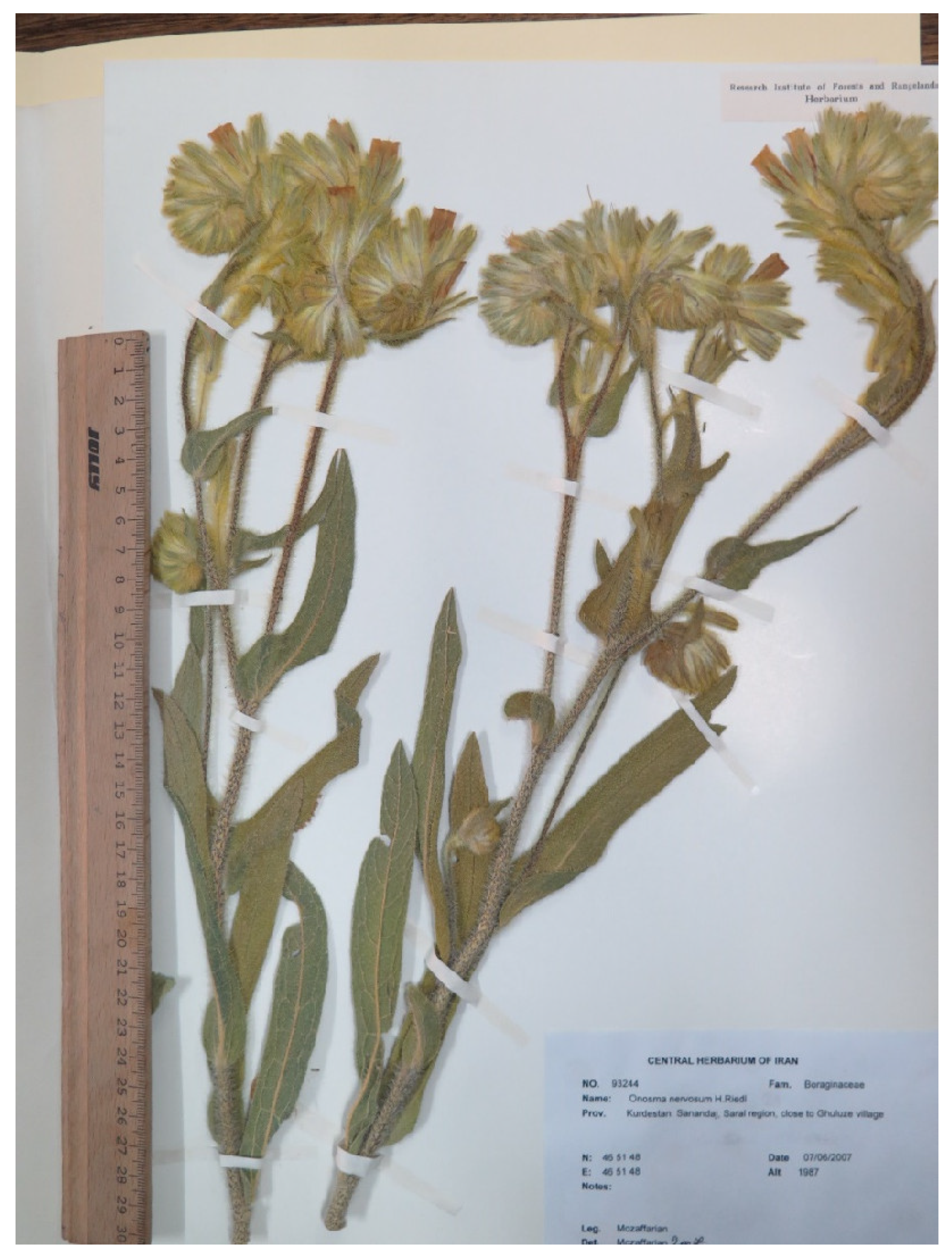 Diversity 14 00671 g006