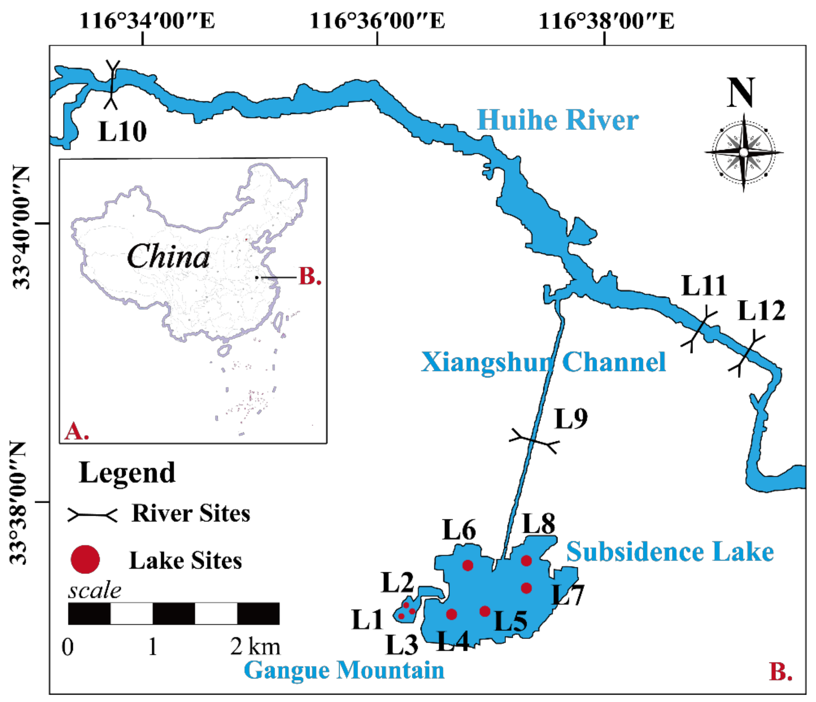 Diversity 14 00674 g001