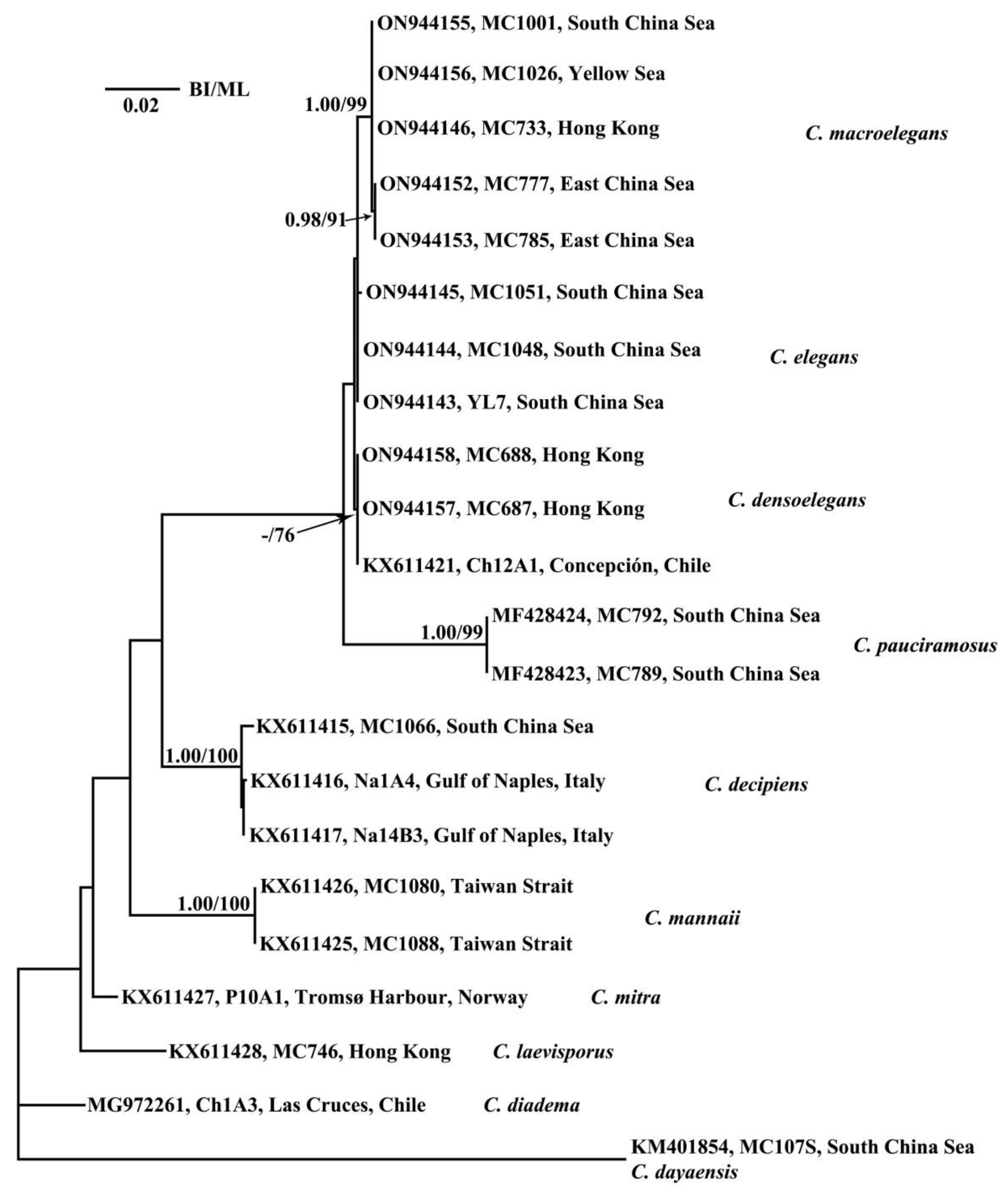Diversity 14 00676 g007