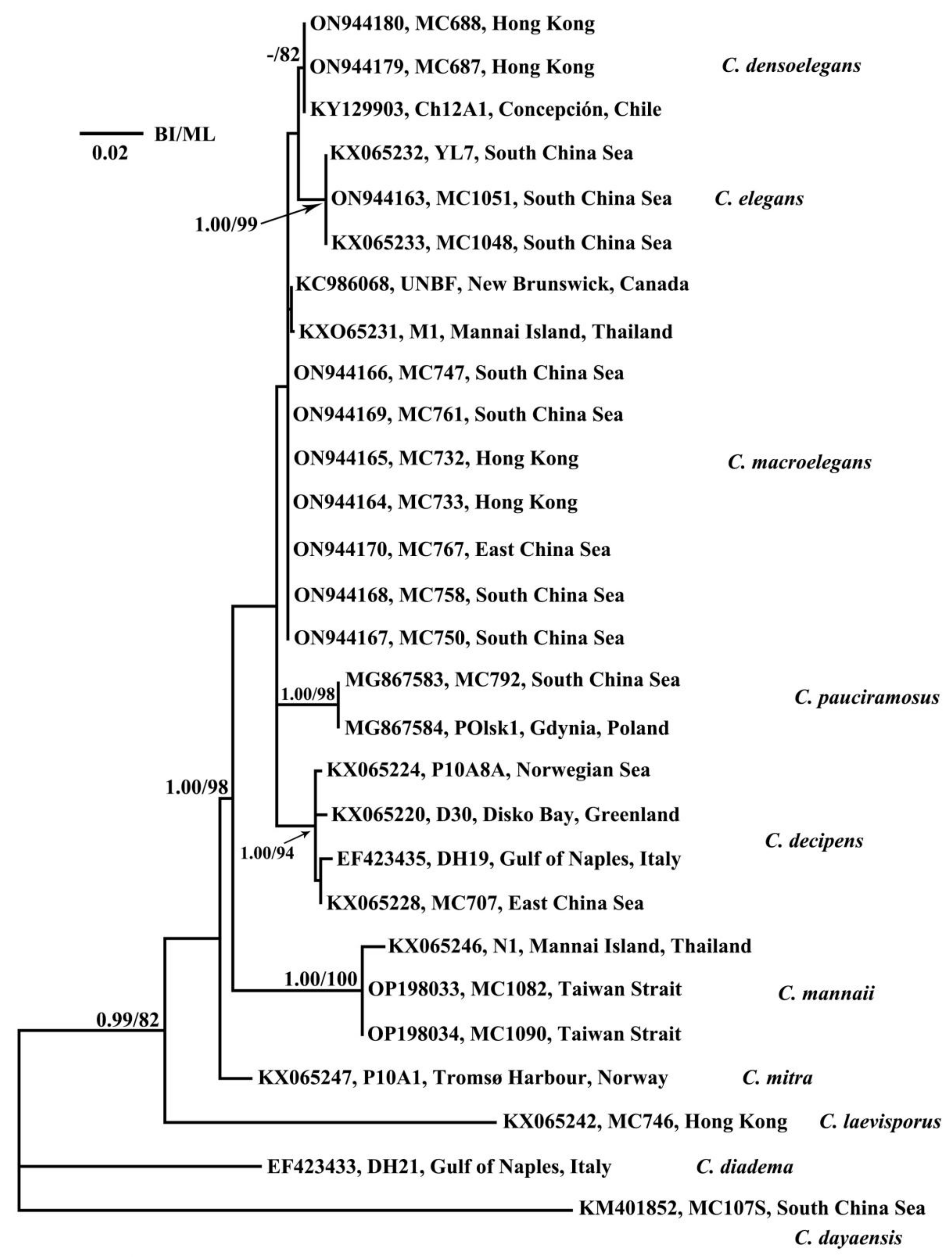 Diversity 14 00676 g008
