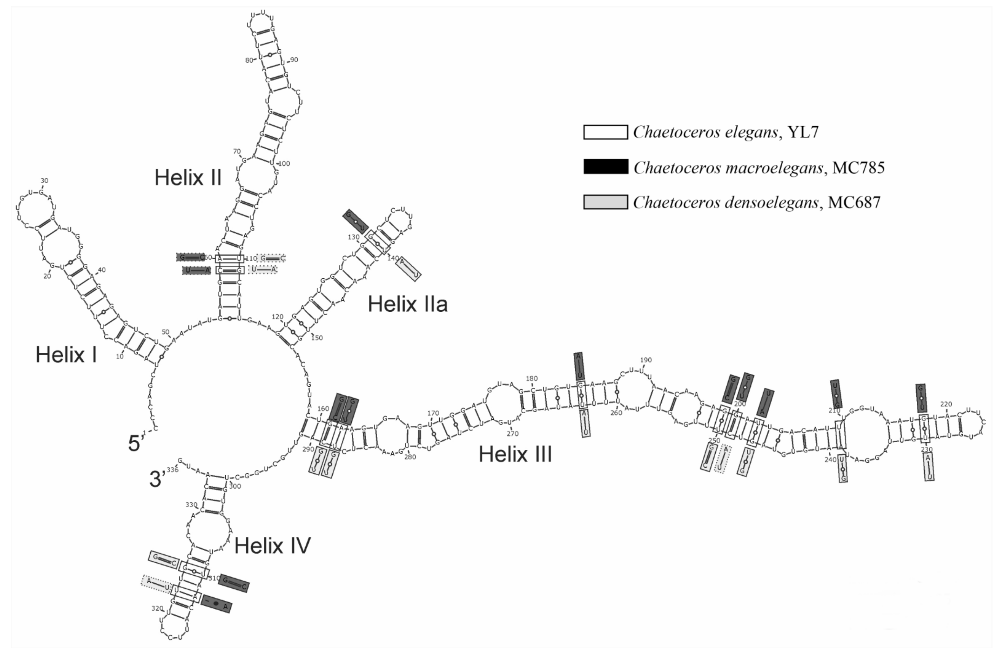 Diversity 14 00676 g009