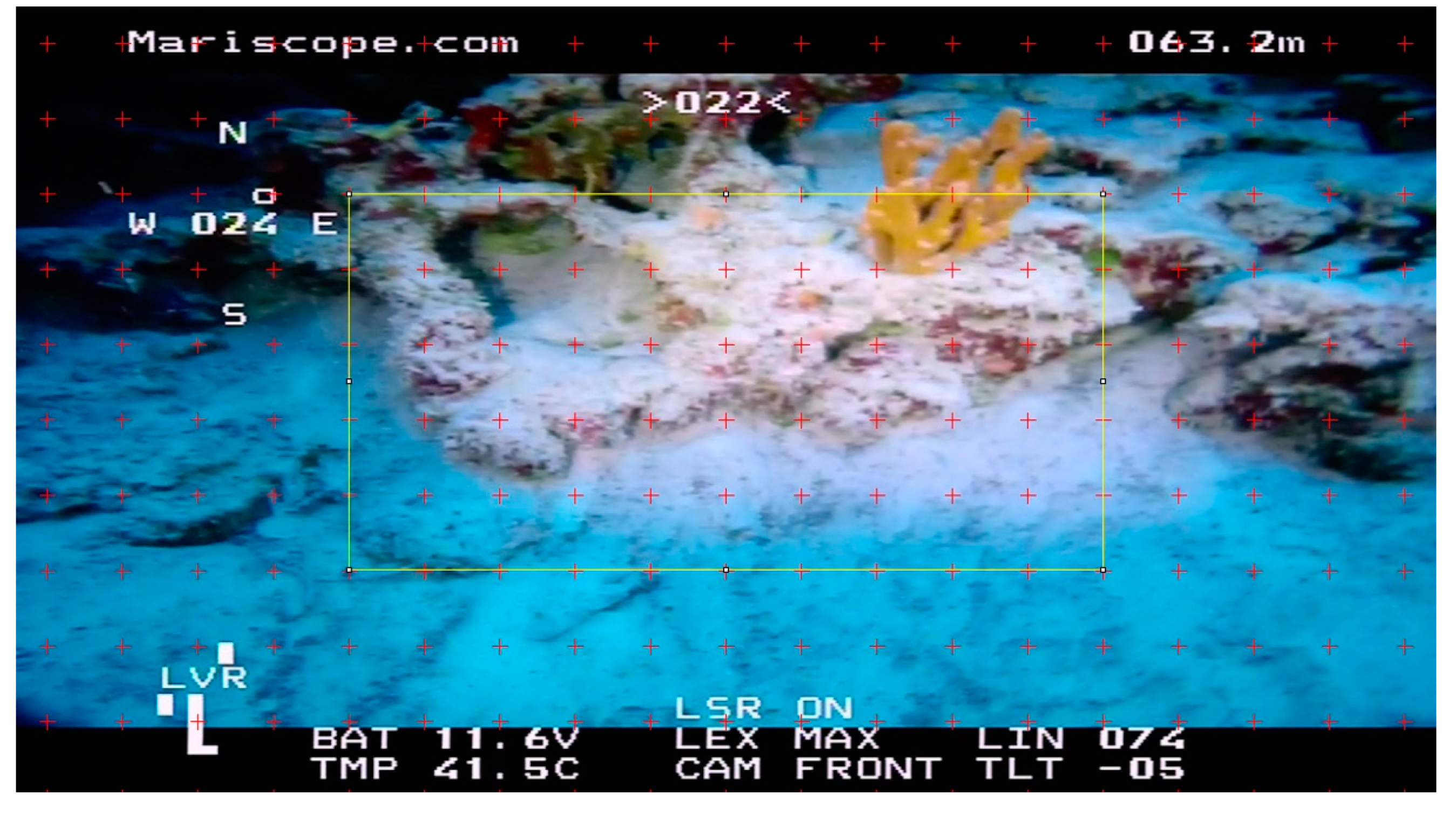 Diversity 14 00679 g003 550