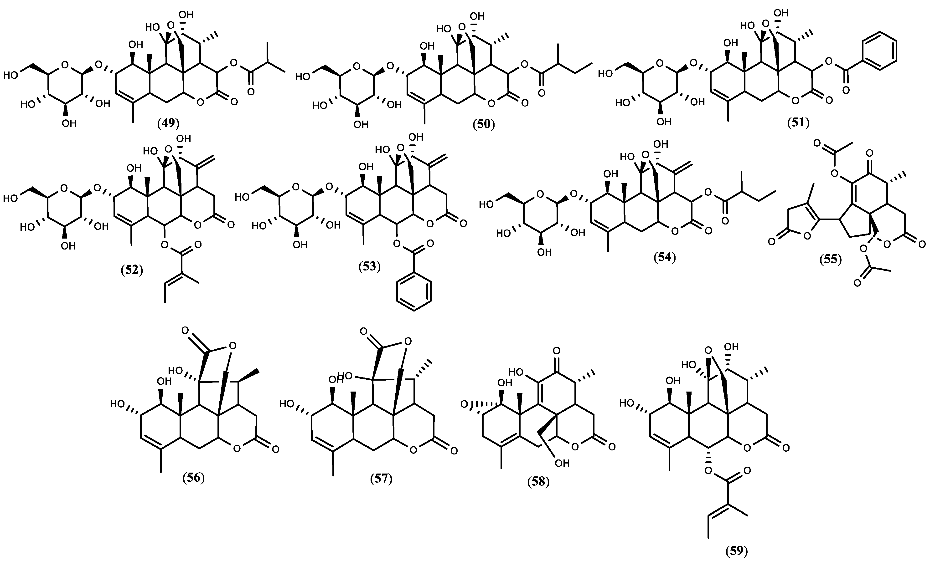 Diversity 14 00680 g001b