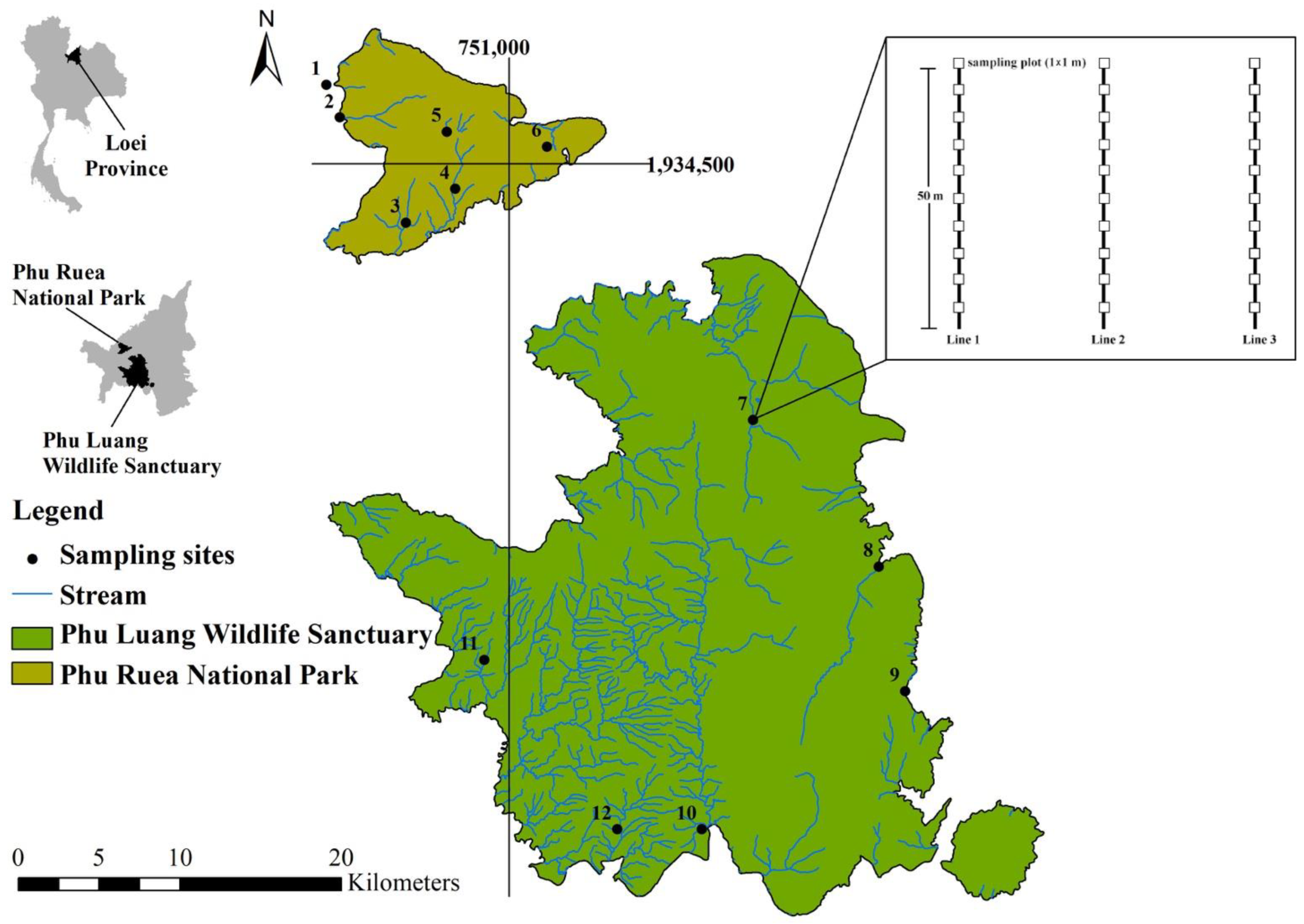 Diversity 14 00682 g001