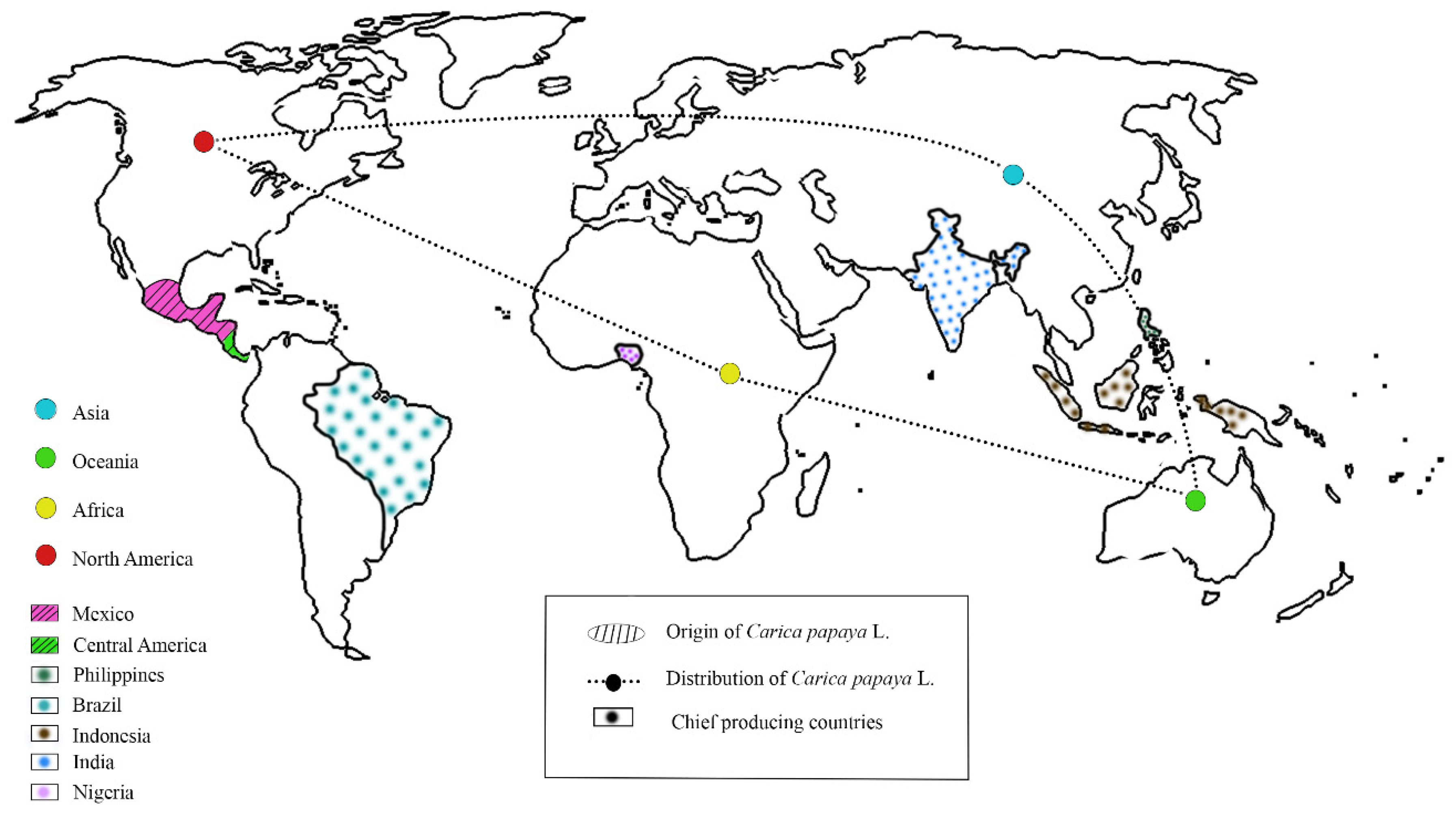 THIS MAP SHOWS THE COUNTRIES WITH THE BIGGEST AND SMALLEST BOOBS IN THE  WORLD - eL CREMA