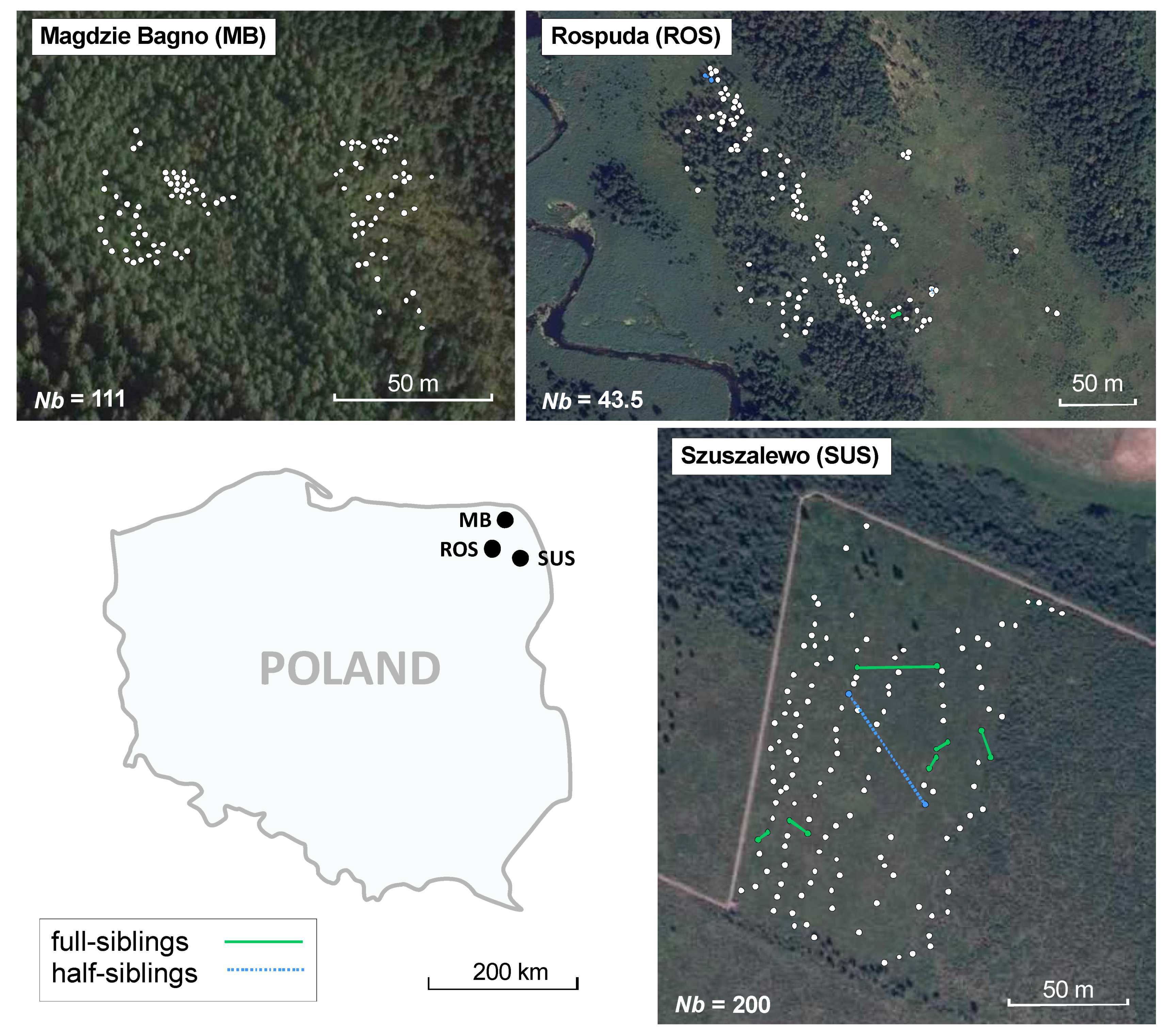 Diversity 14 00684 g001