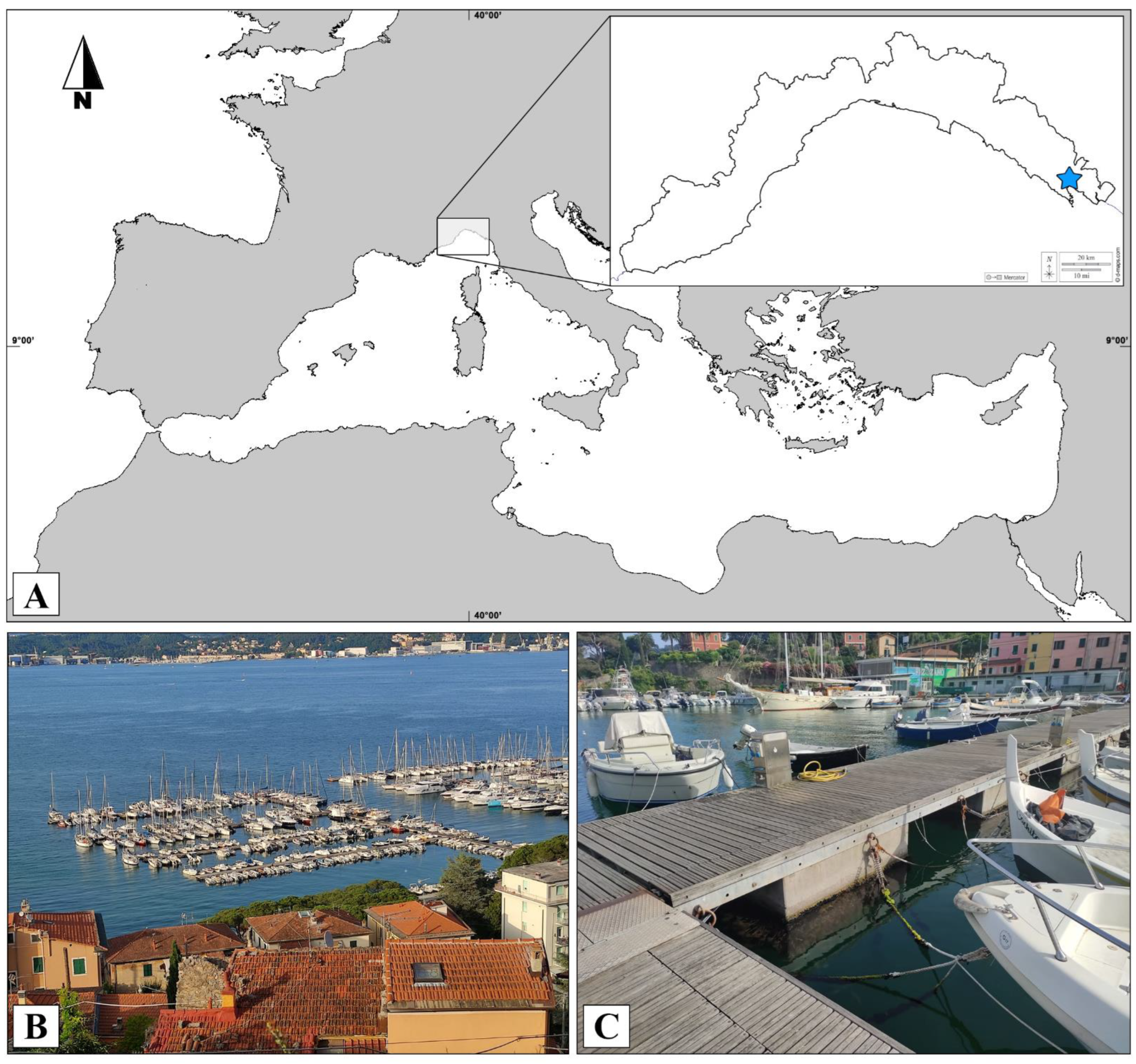 Diversity 14 00687 g001 Diversity 14 00687 g001