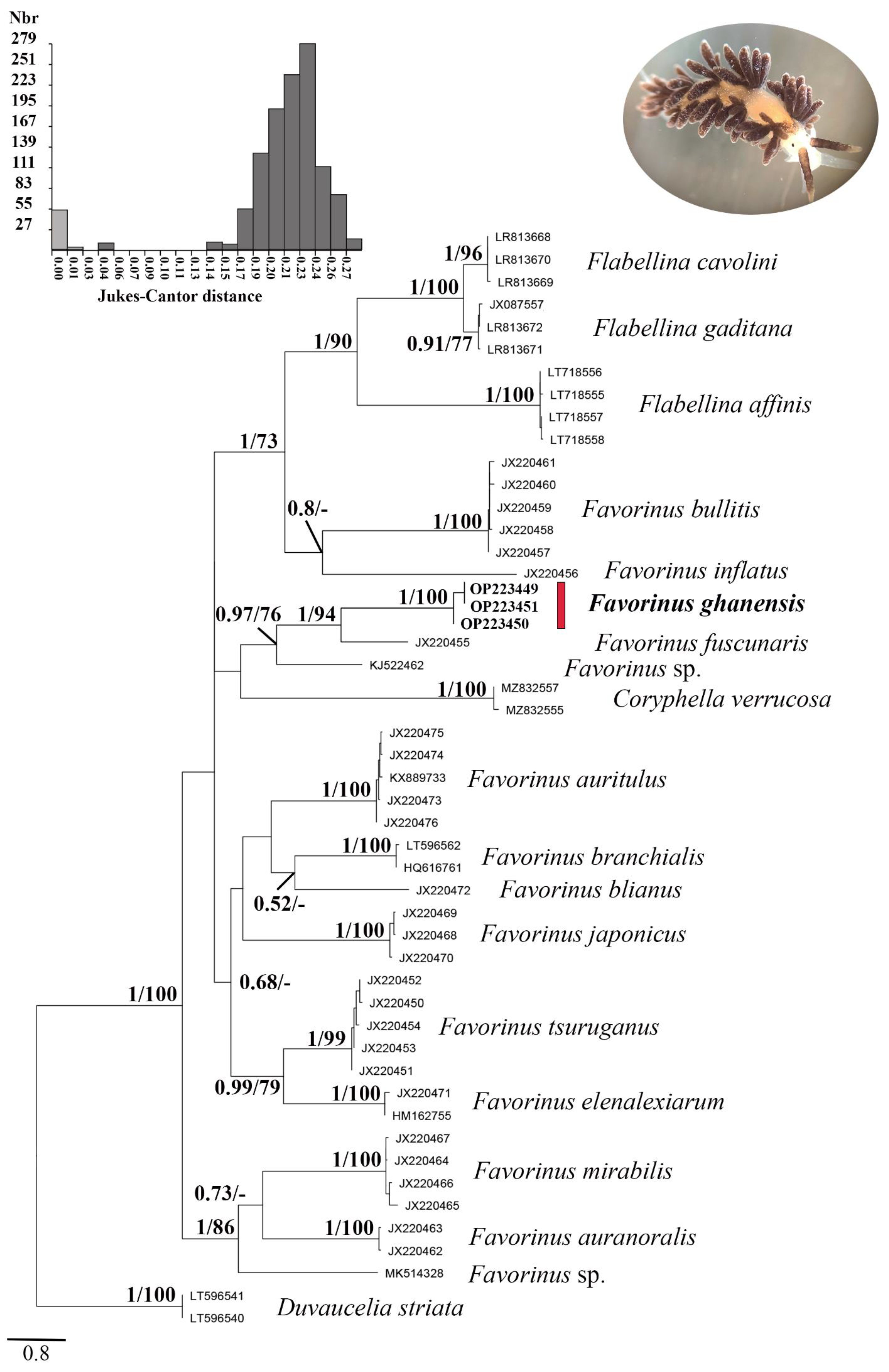 Diversity 14 00687 g003 Diversity 14 00687 g003