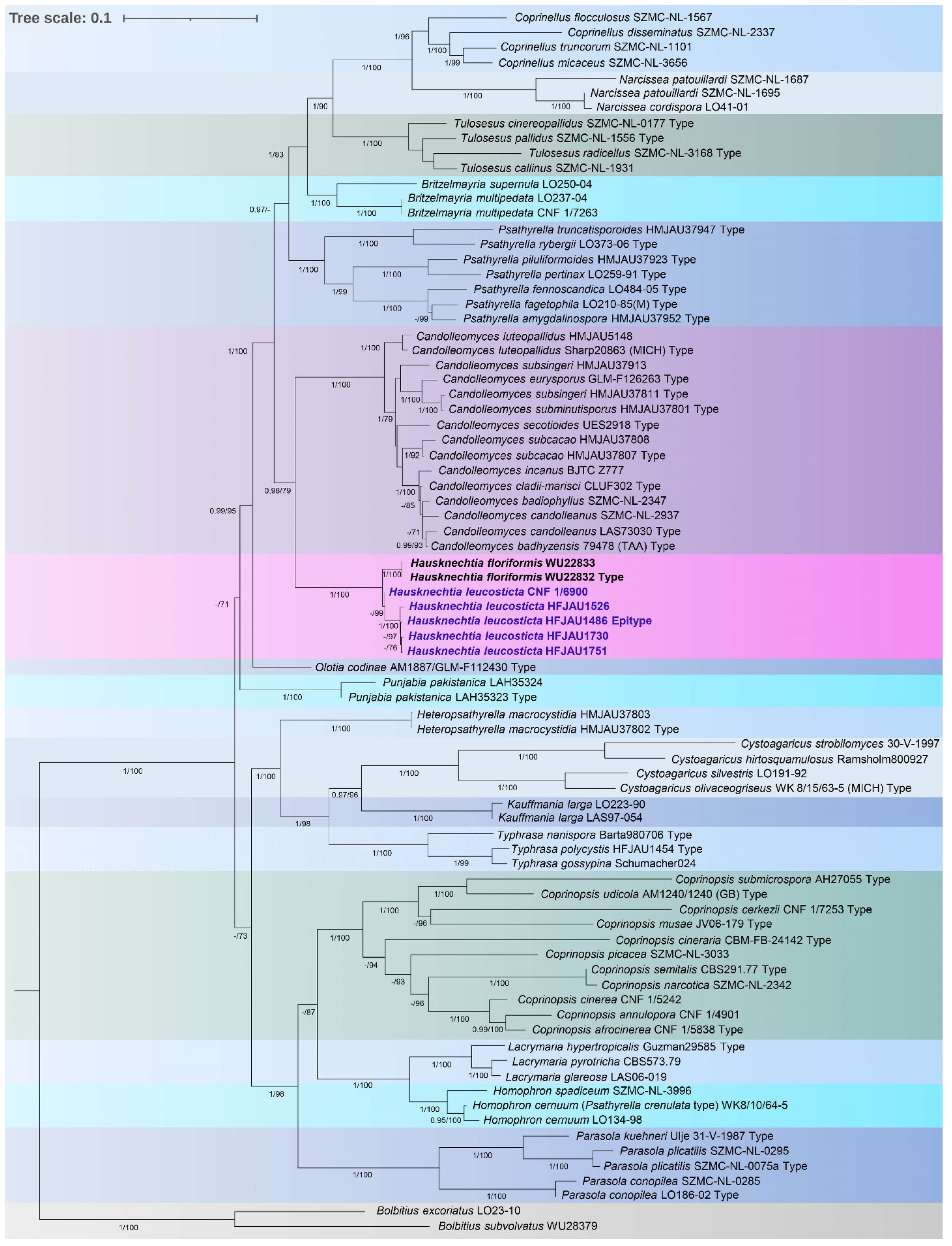 Diversity 14 00699 g001