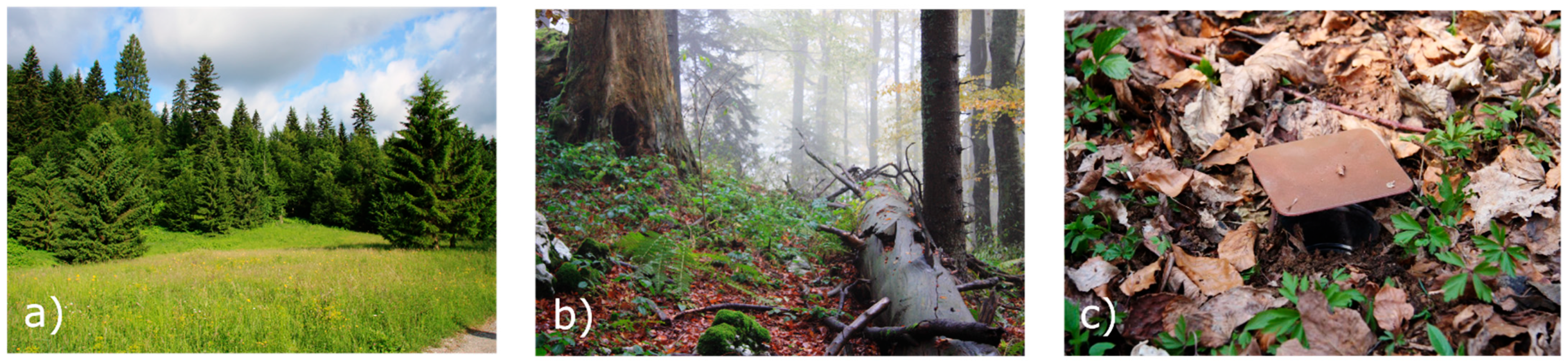 Diversity 14 00701 g001