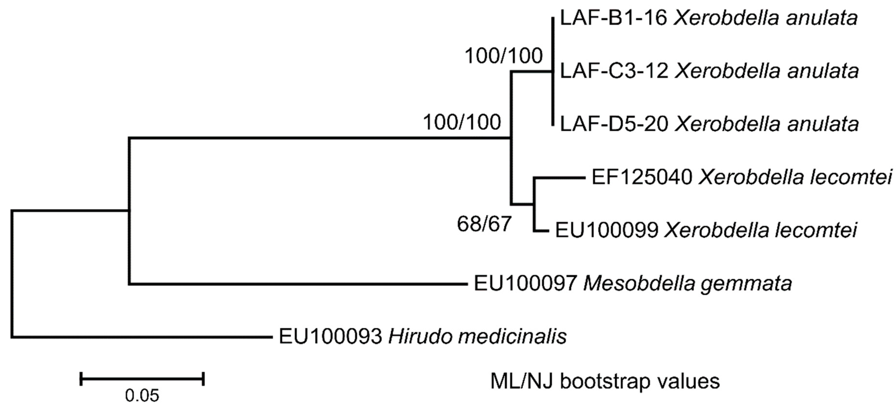 Diversity 14 00701 g007