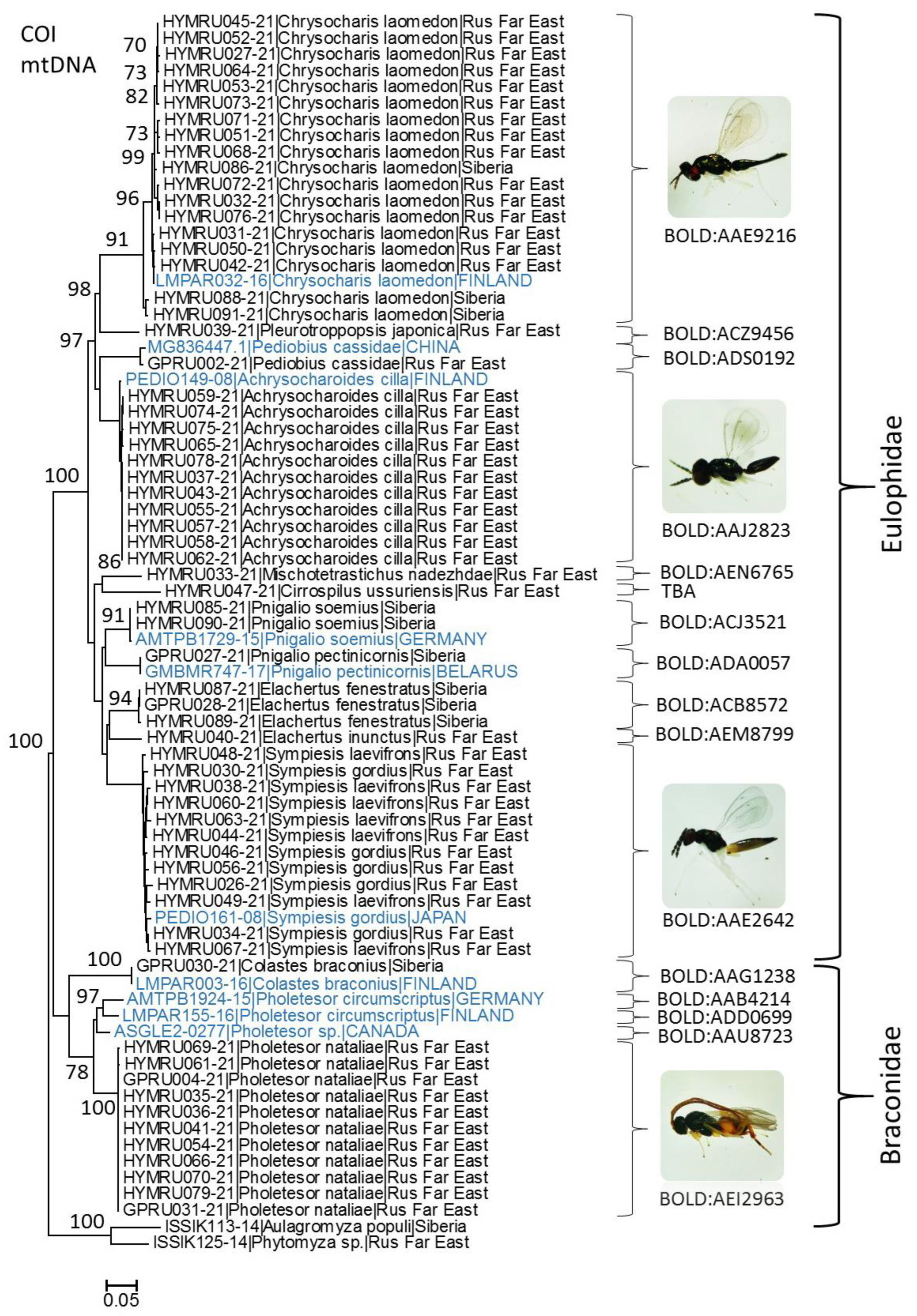 Diversity 14 00707 g003