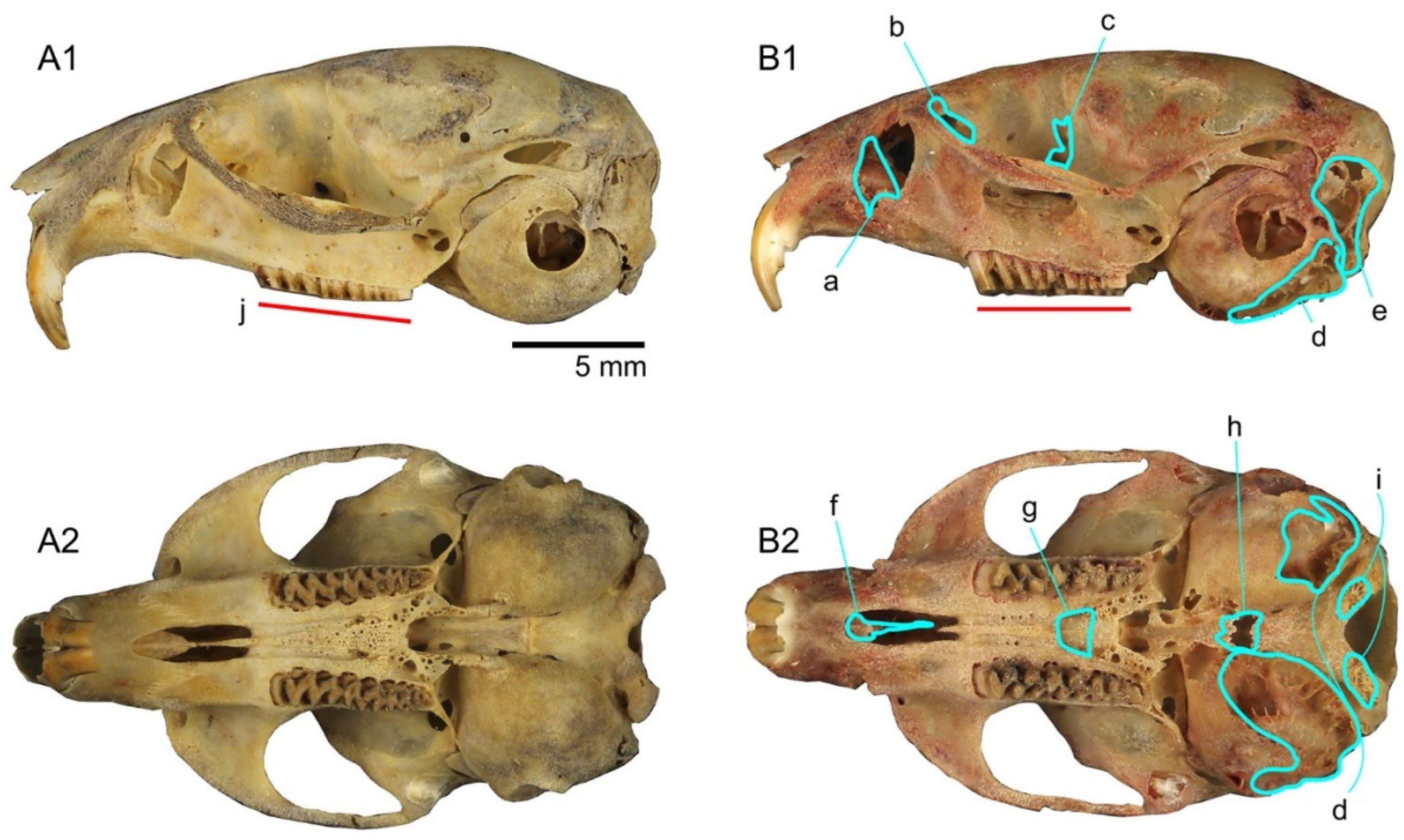 Diversity 14 00709 g003 Diversity 14 00709 g003