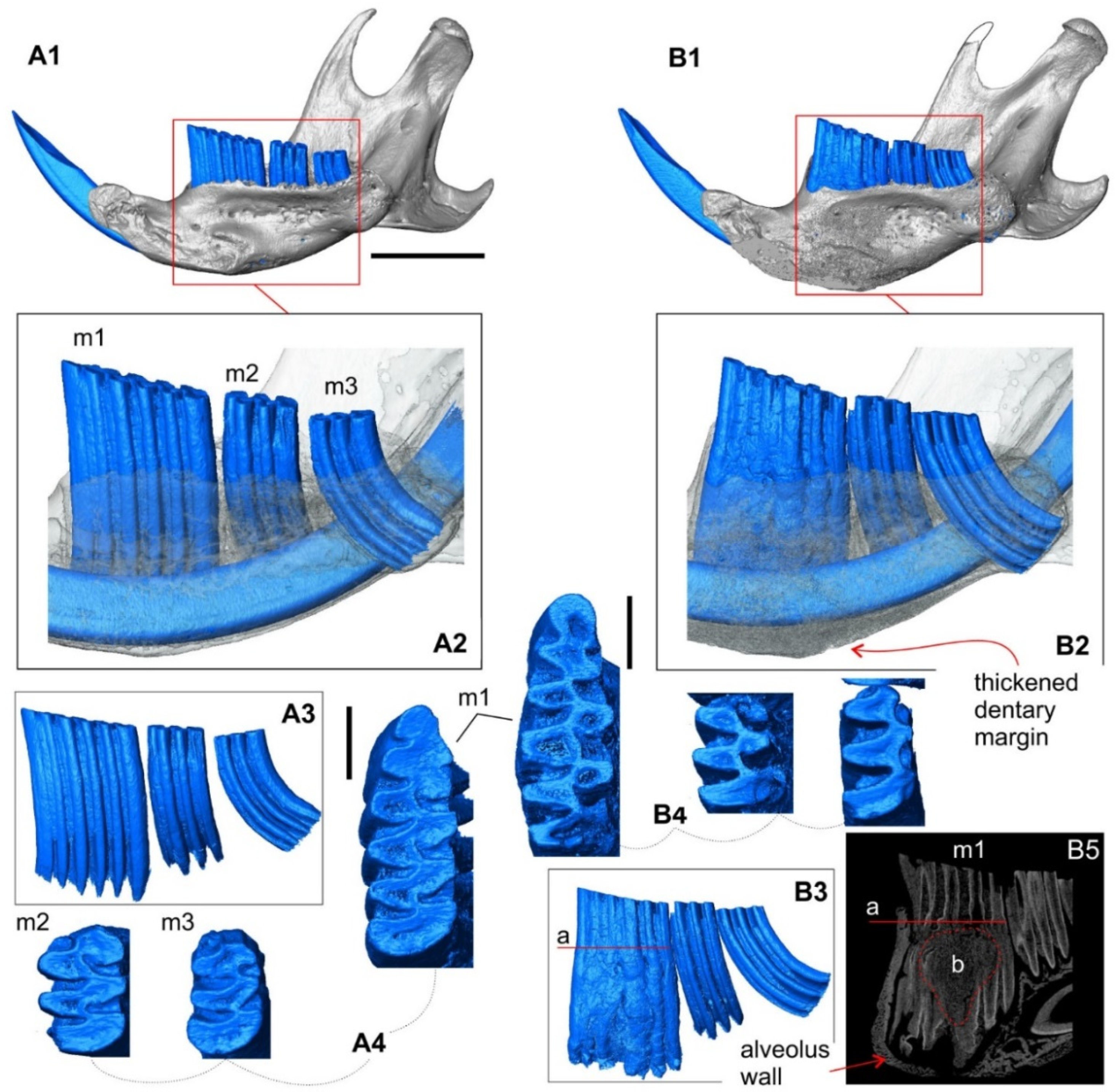 Diversity 14 00709 g005 Diversity 14 00709 g005