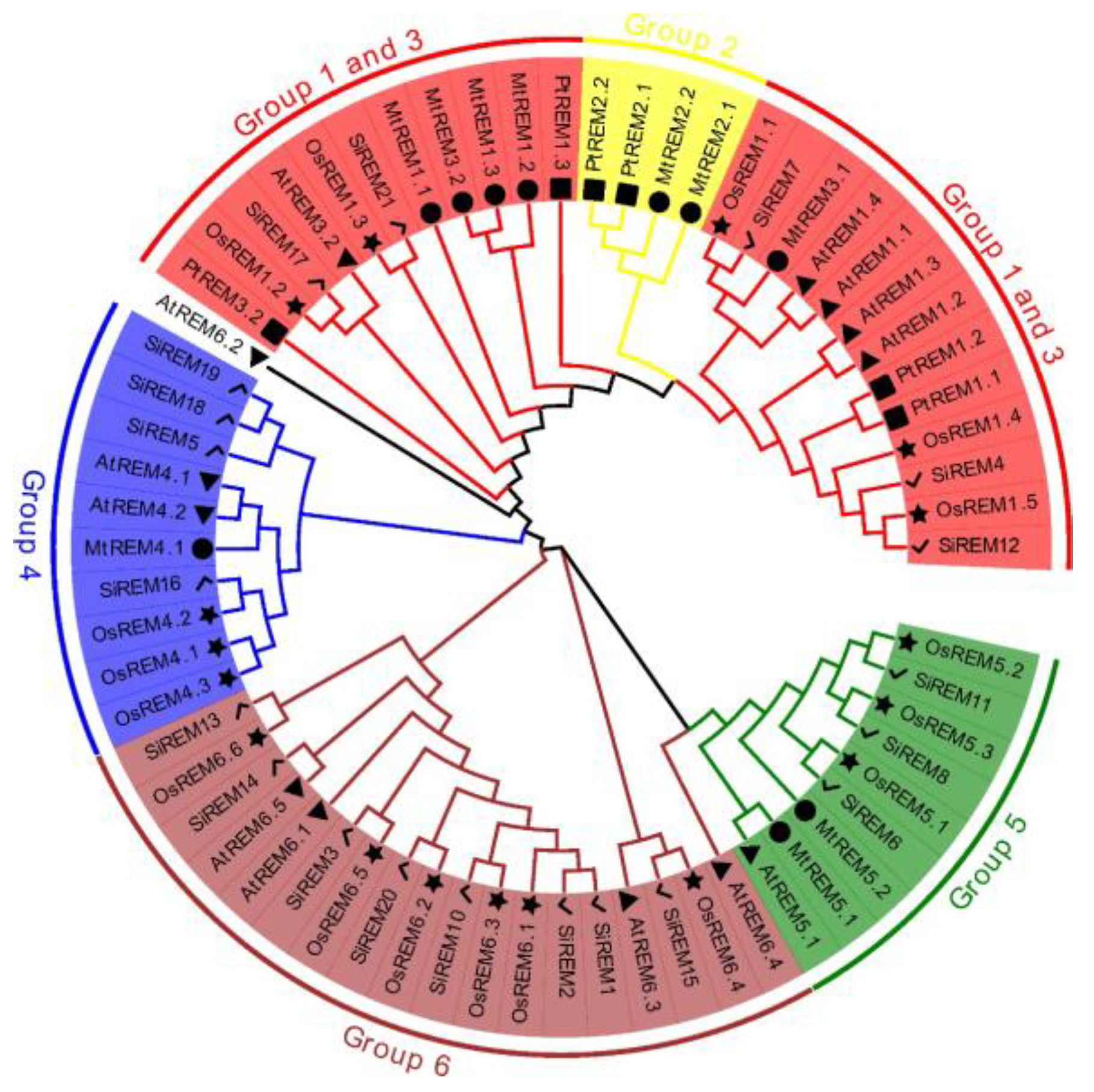 Diversity 14 00711 g001