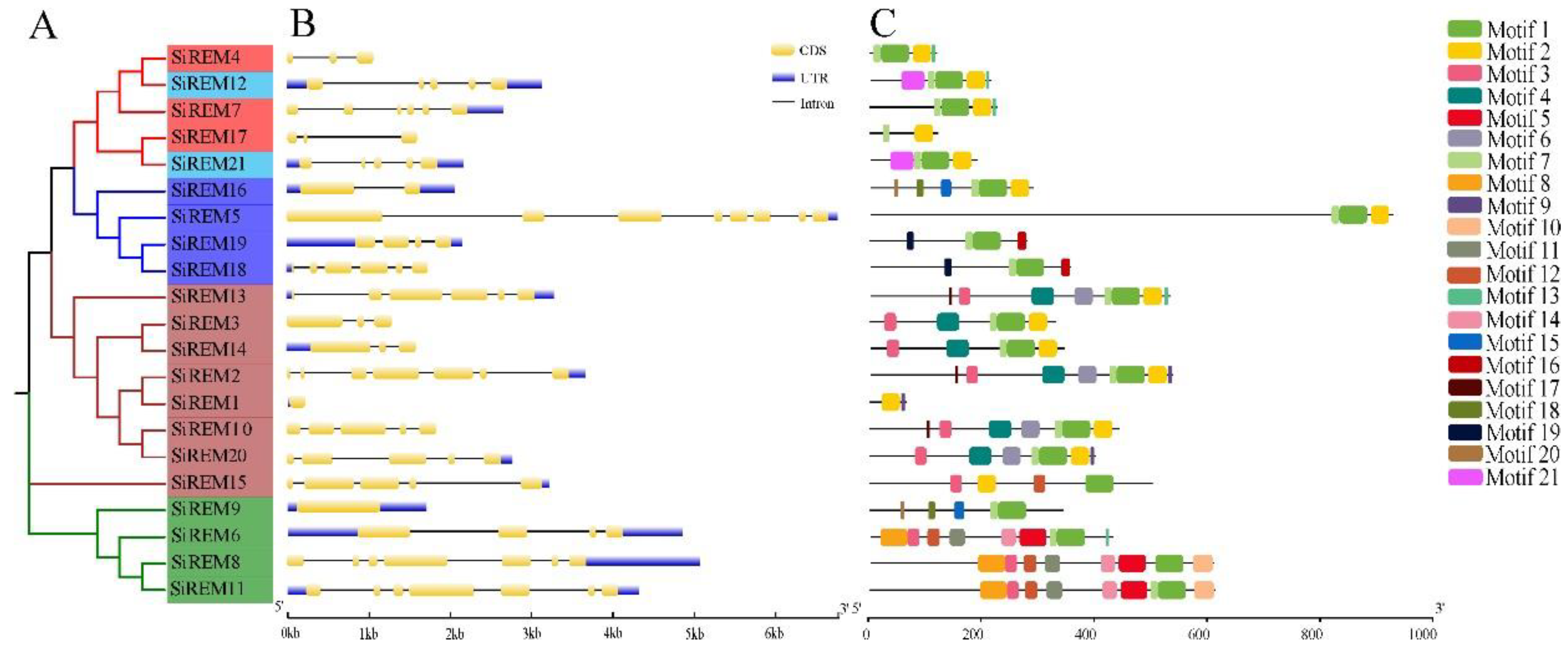 Diversity 14 00711 g002