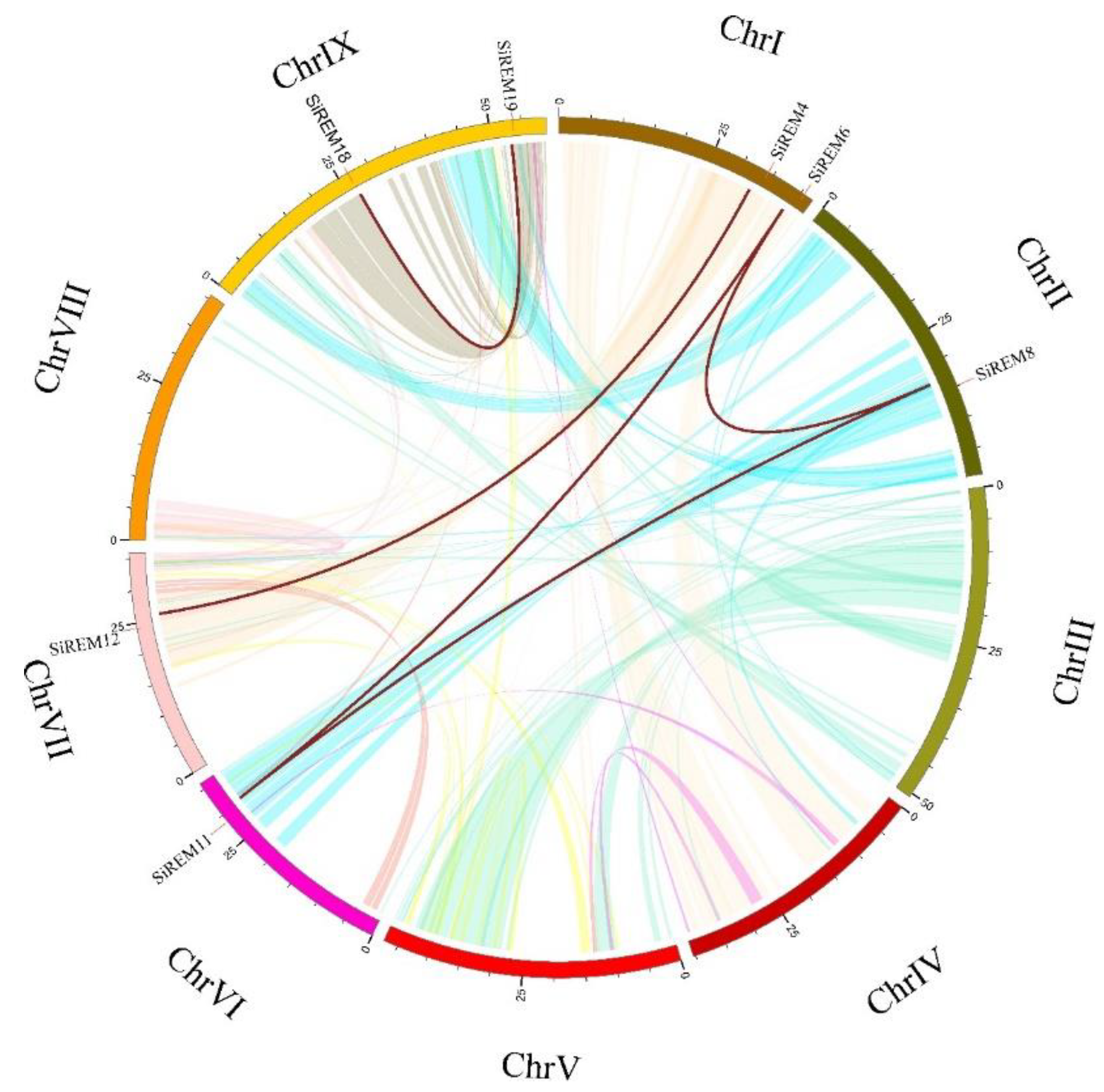 Diversity 14 00711 g003