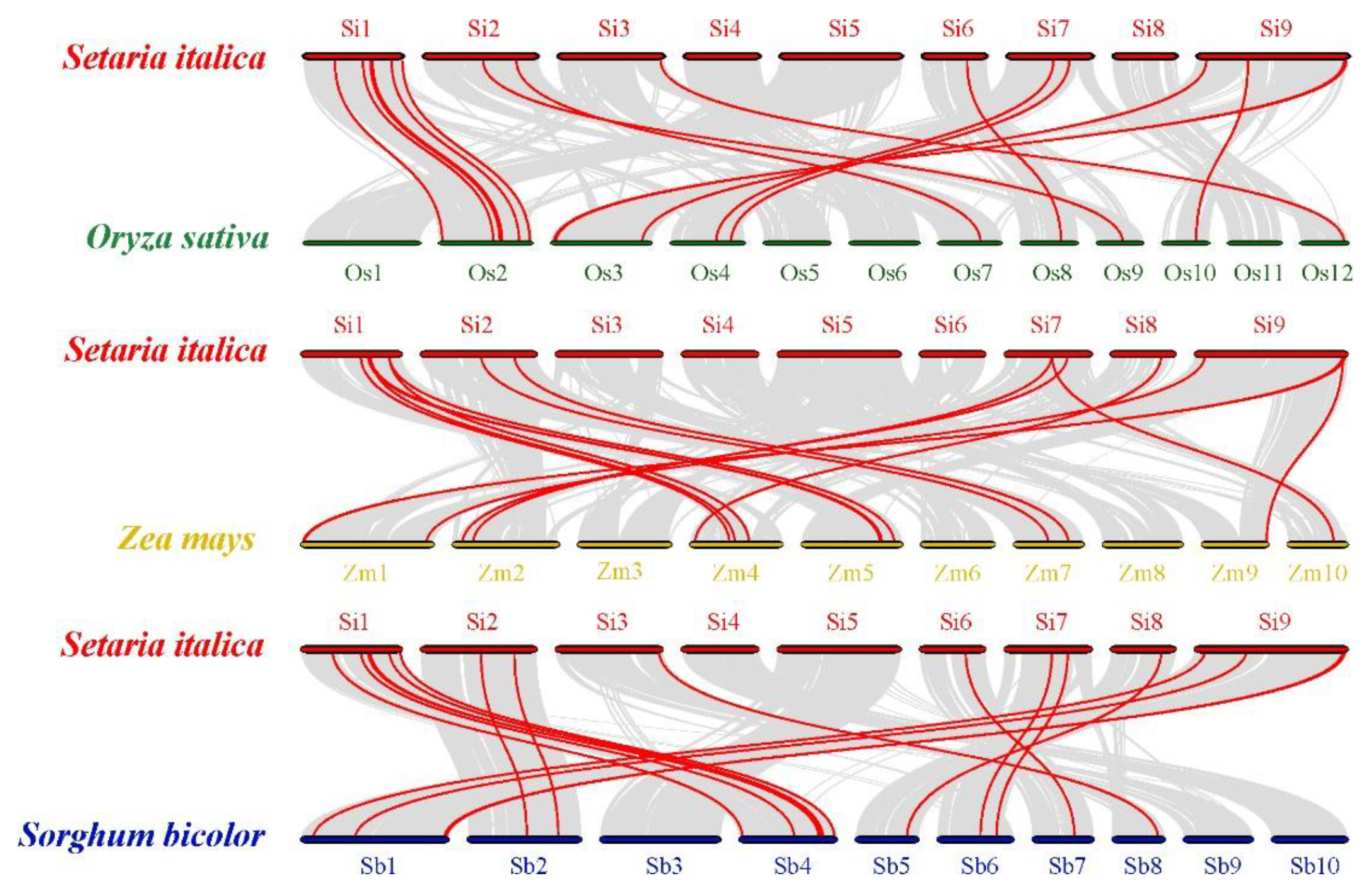 Diversity 14 00711 g004
