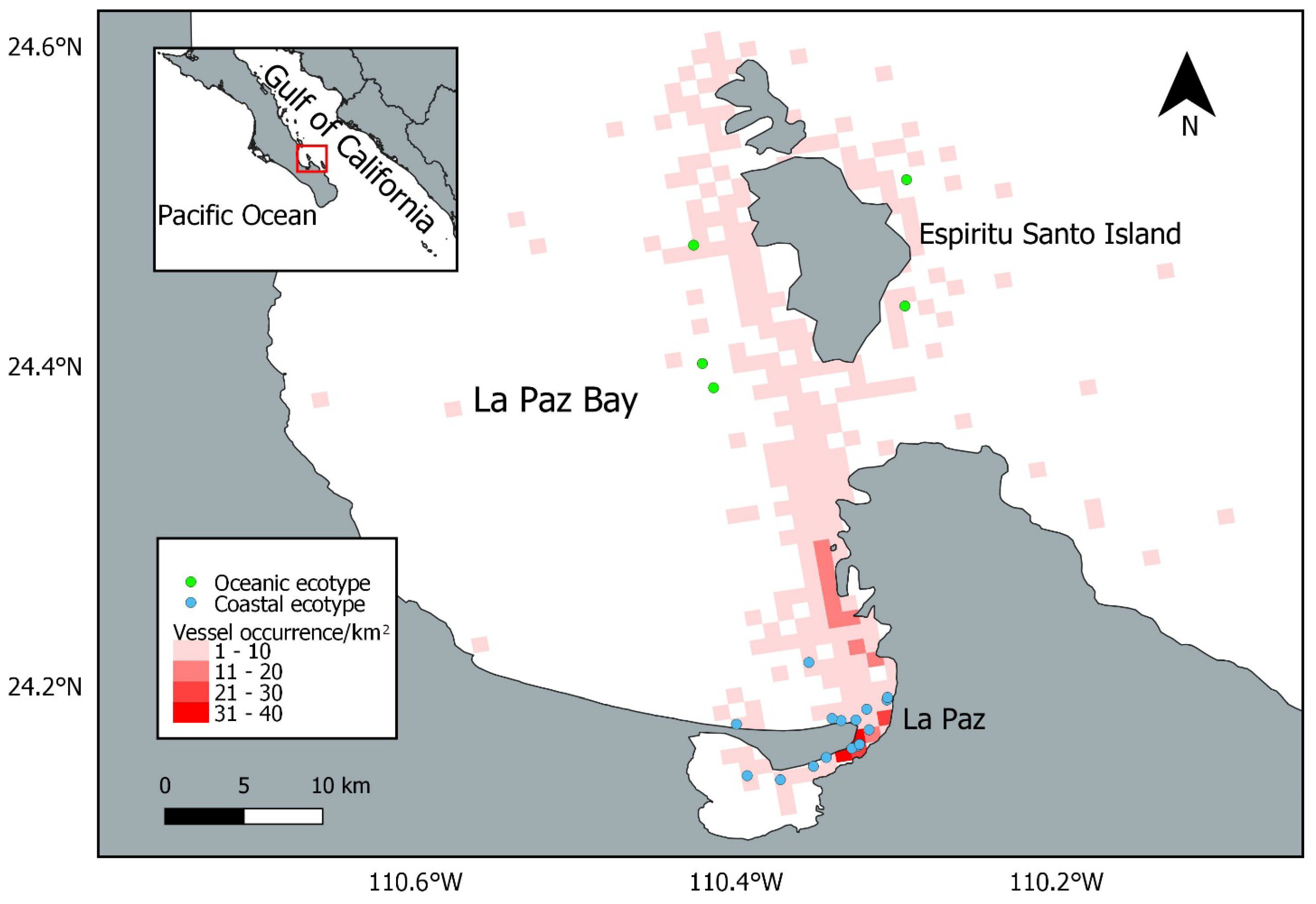 Diversity 14 00712 g001