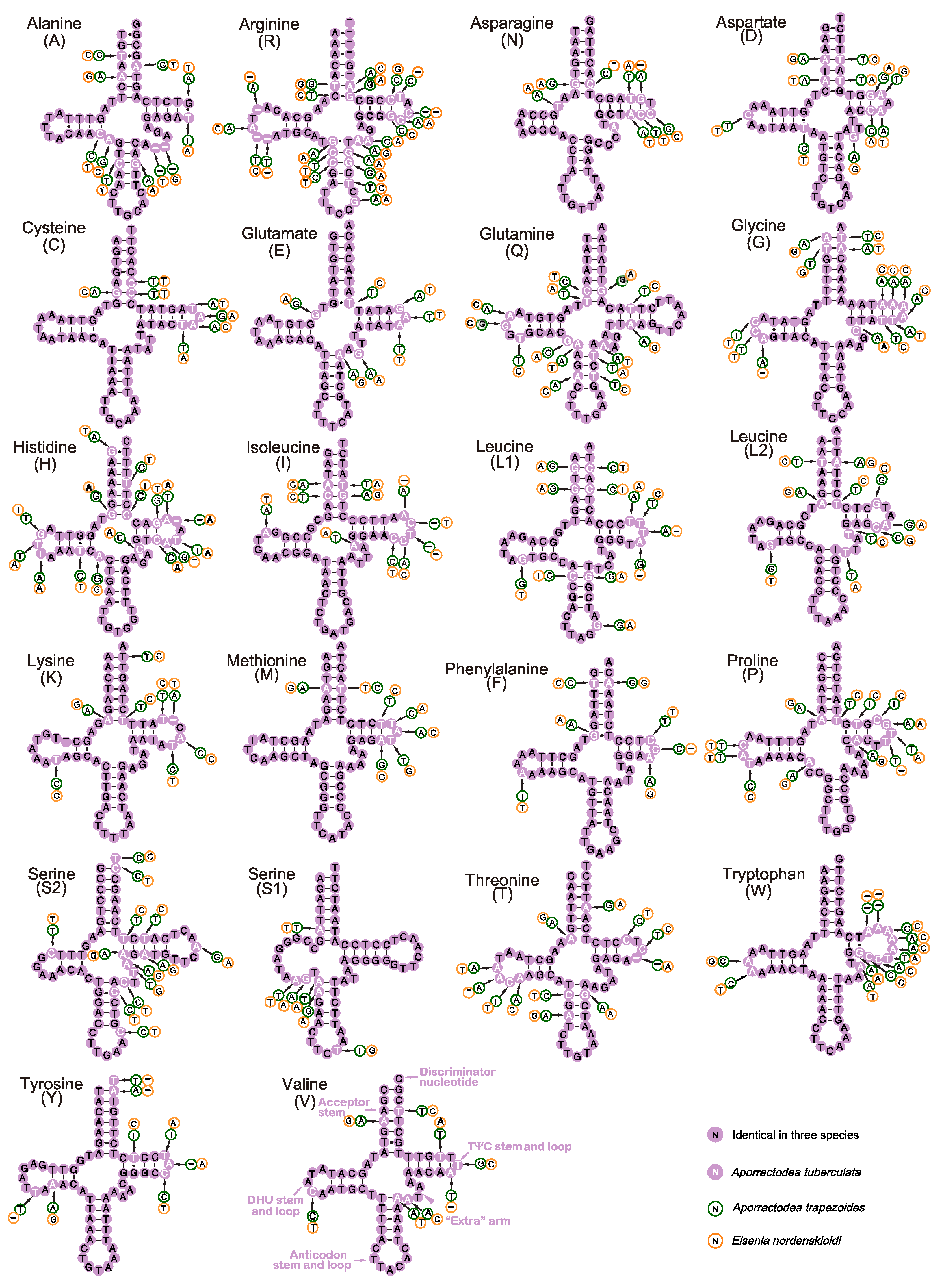 Diversity 14 00714 g004