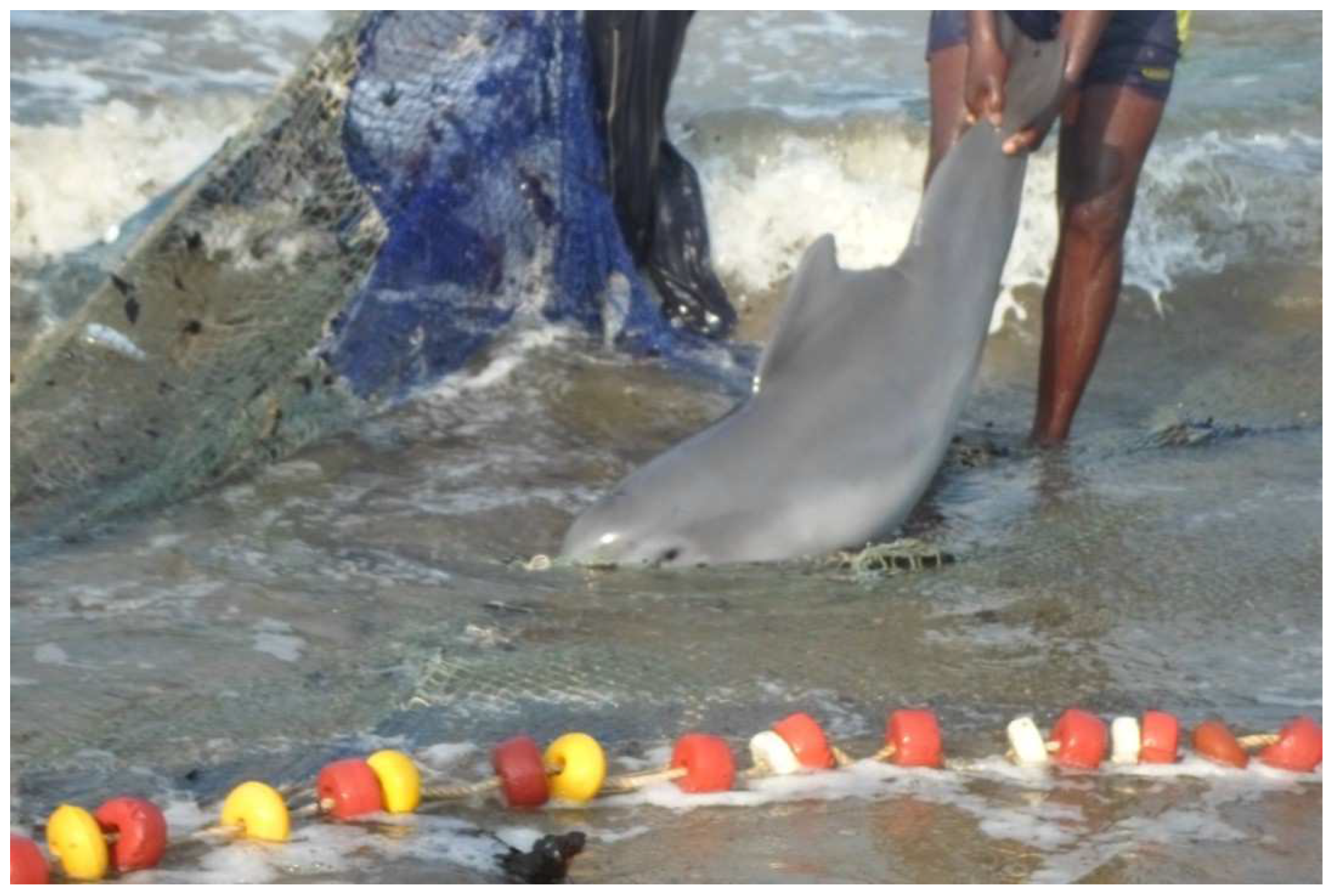 Diversity 14 00716 g003