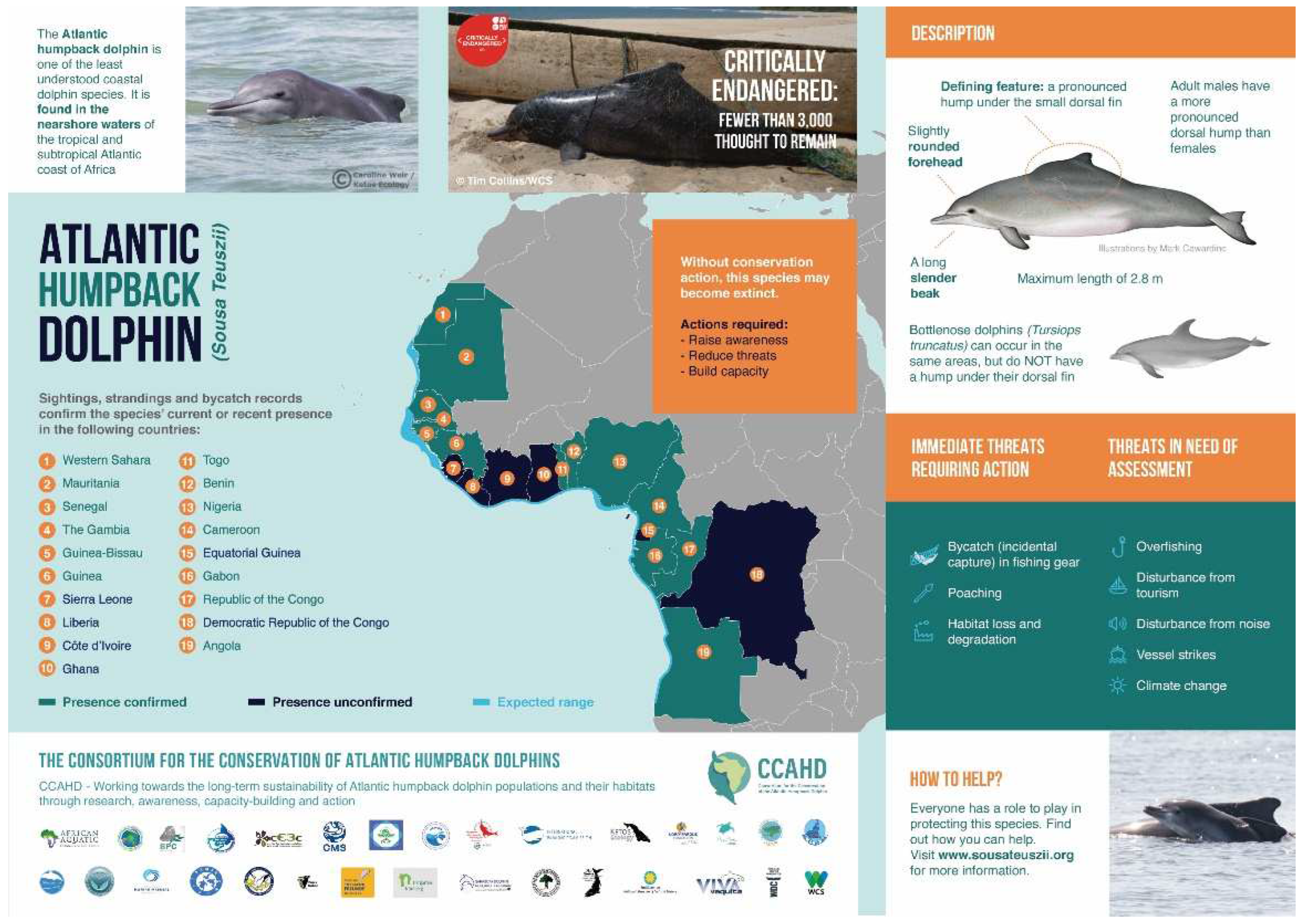 Diversity 14 00716 g004