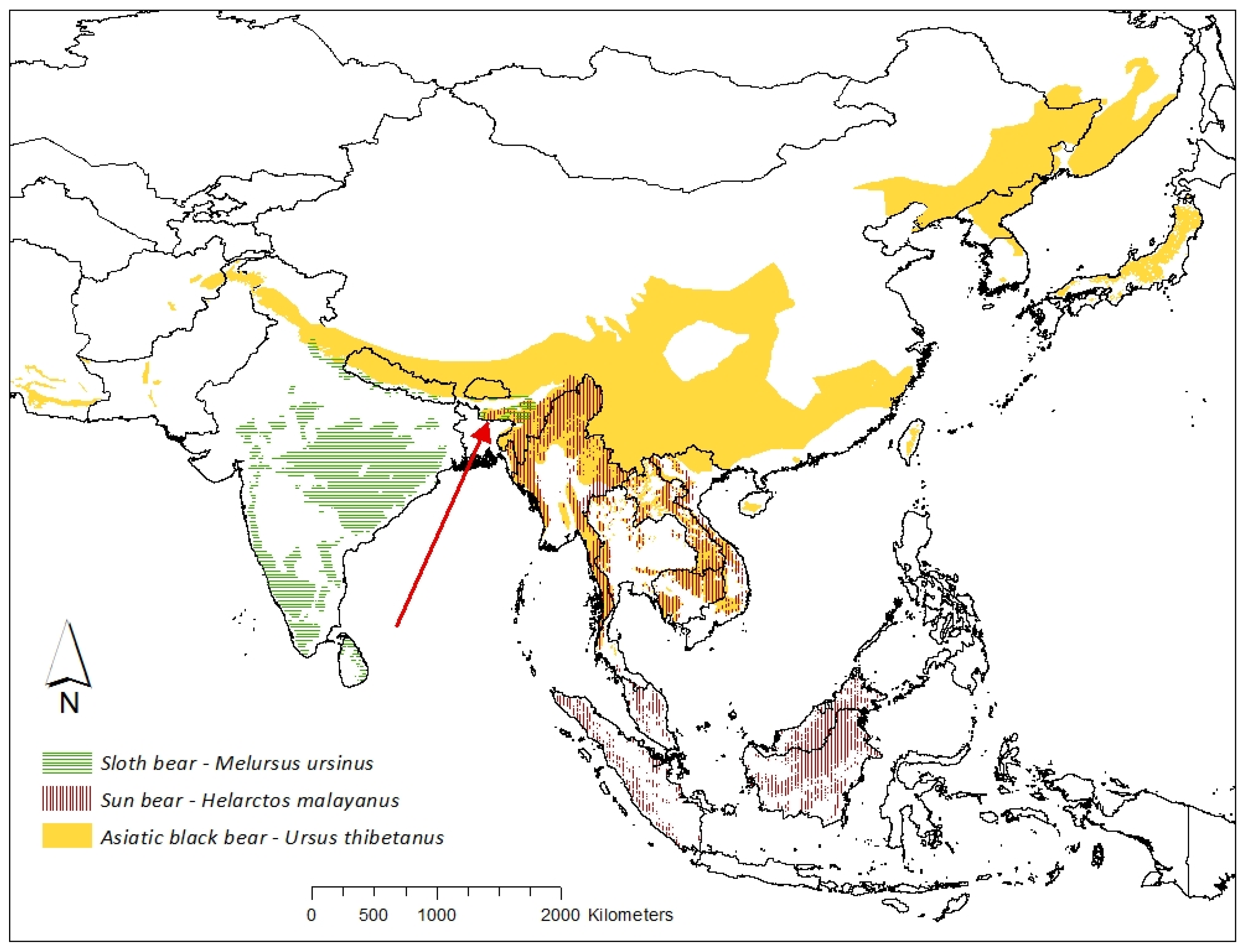 Diversity 14 00717 g001