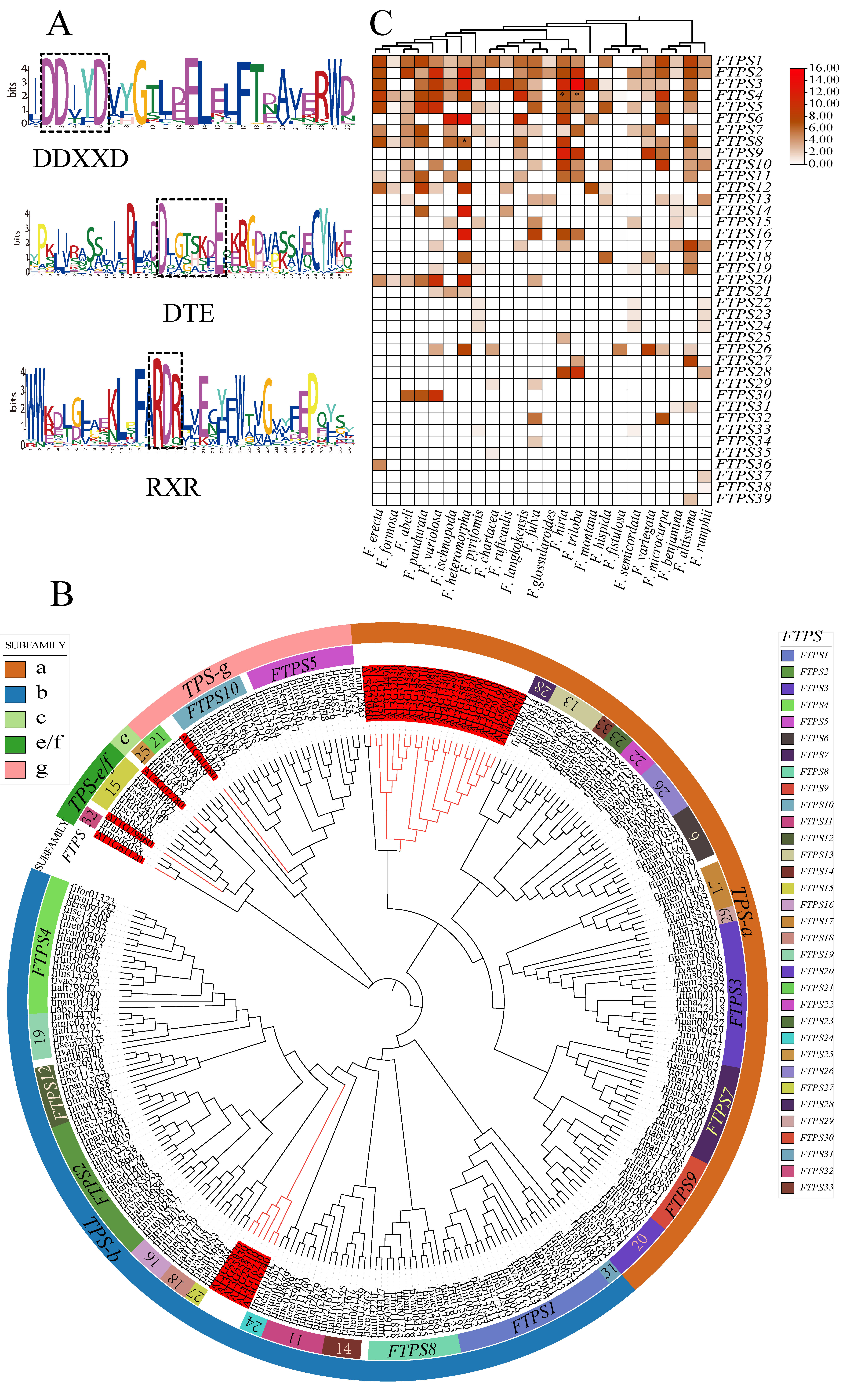 Diversity 14 00721 g001 Diversity 14 00721 g001