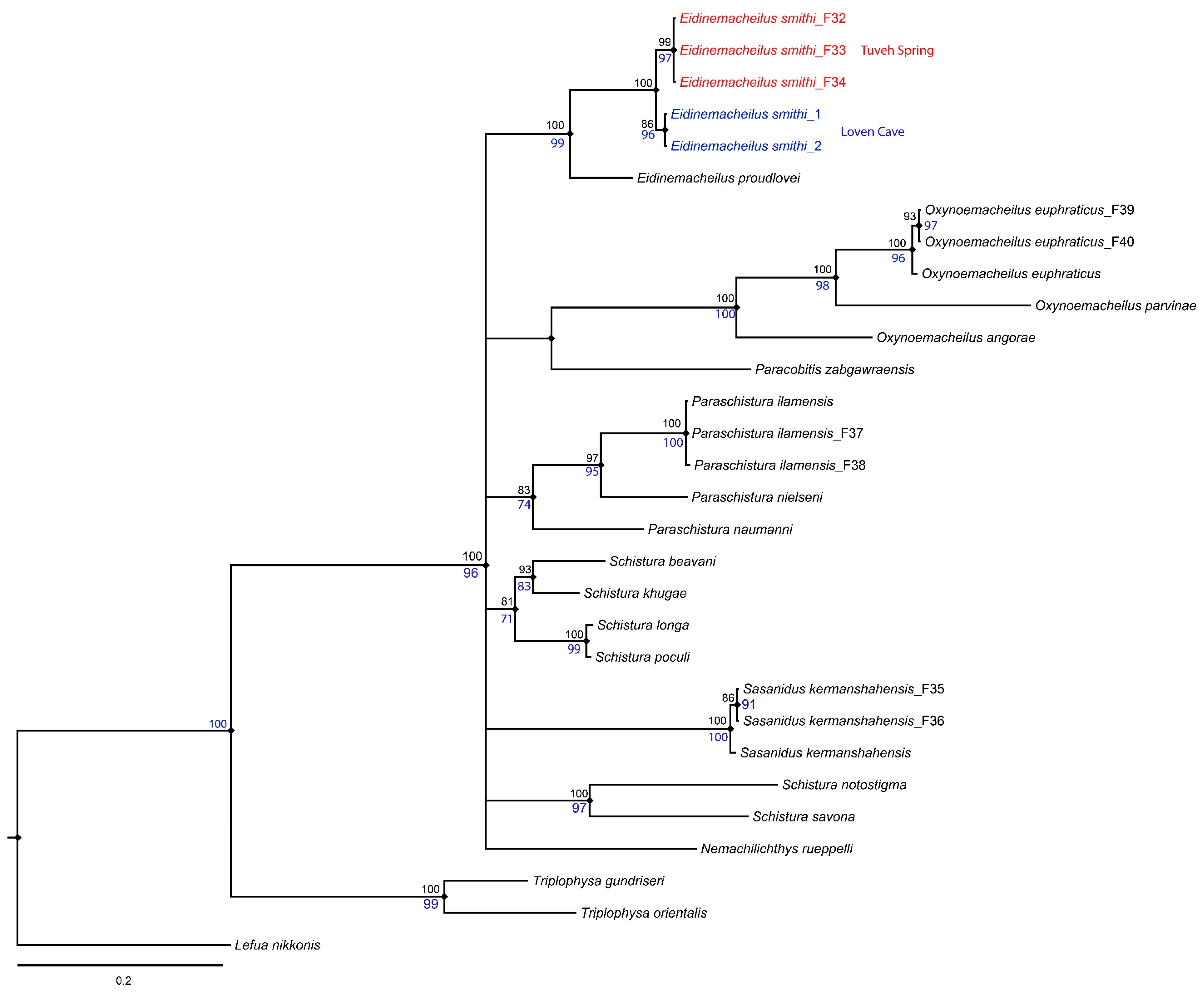 Diversity 14 00724 g003 Diversity 14 00724 g003