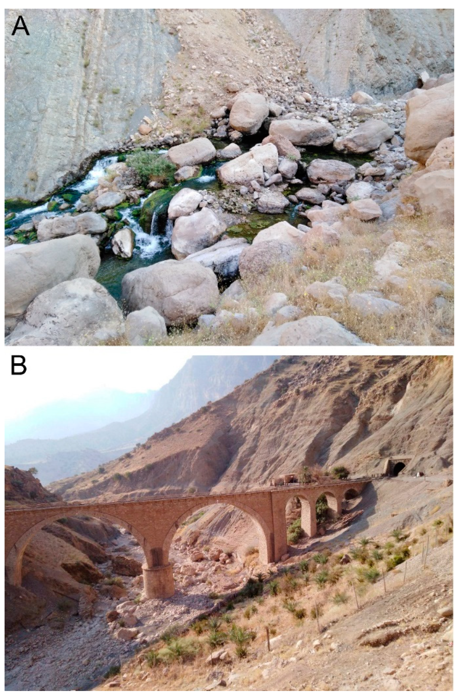 Diversity 14 00724 g004 Diversity 14 00724 g004