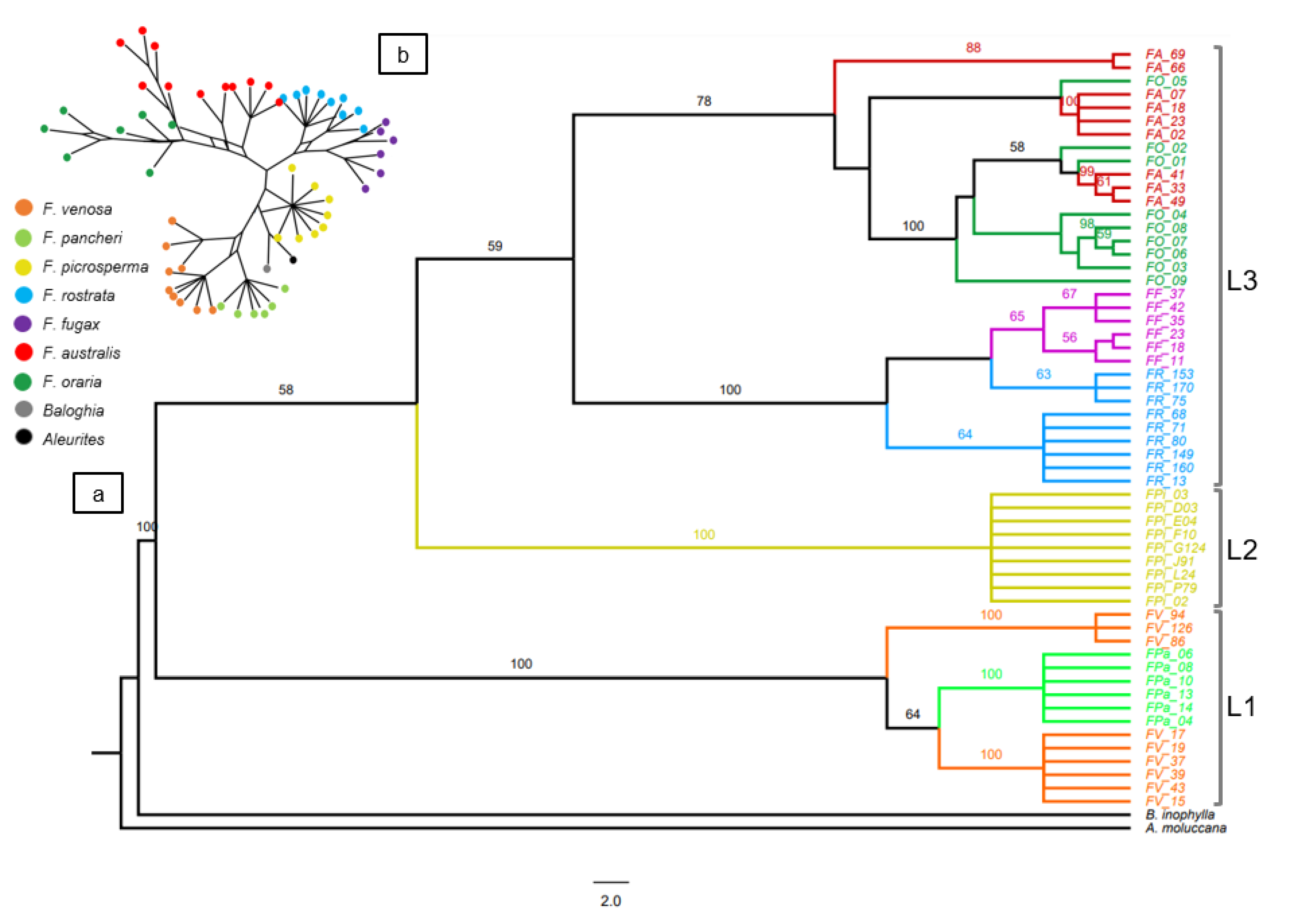Diversity 14 00725 g002 550