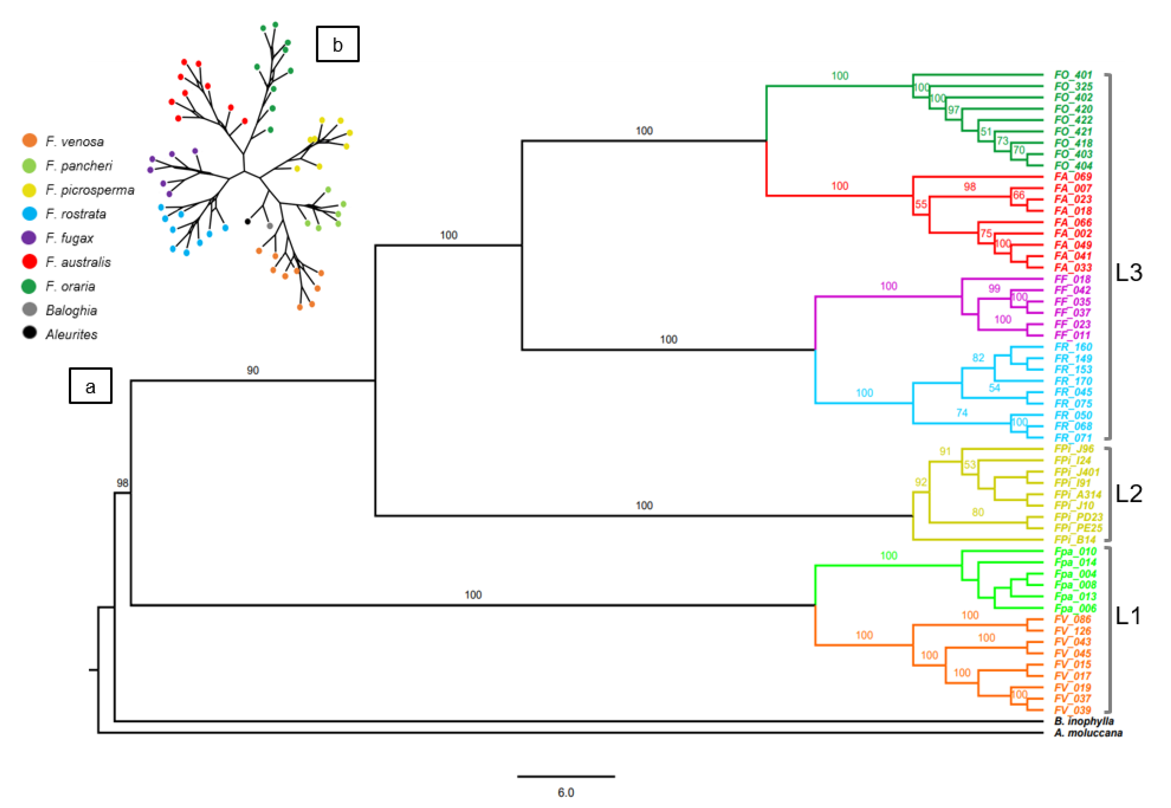 Diversity 14 00725 g003 550