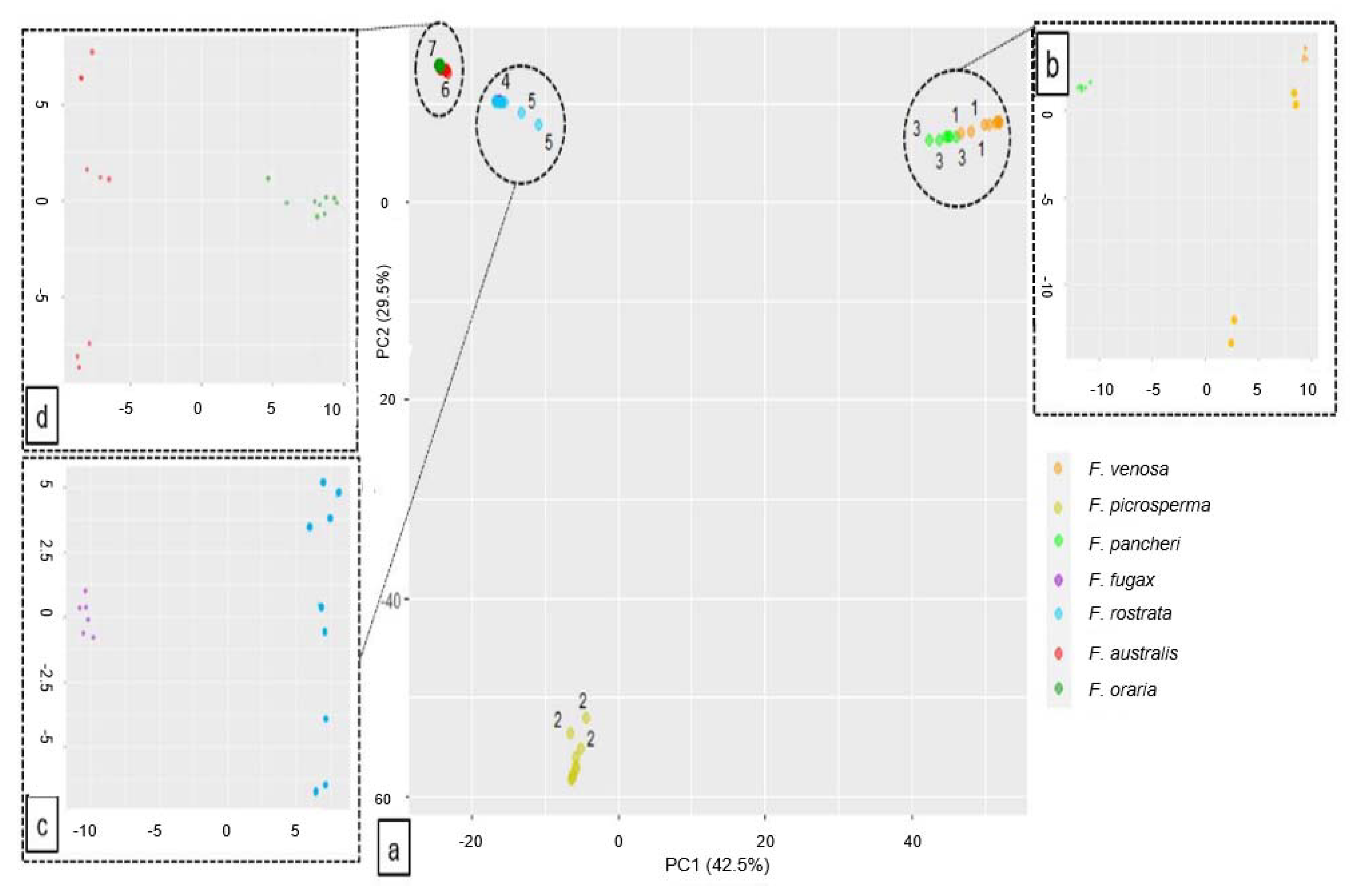 Diversity 14 00725 g004 550