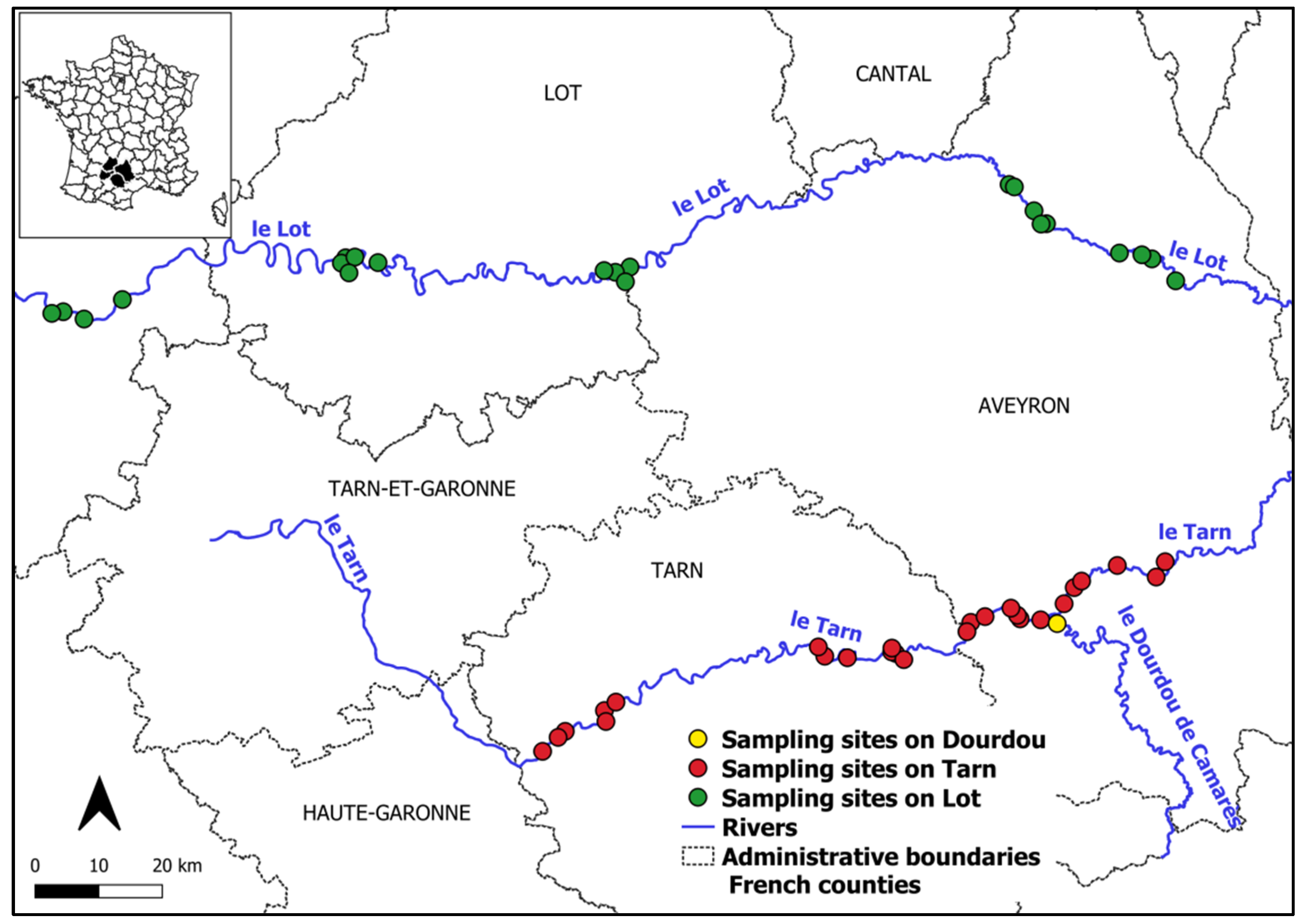 Diversity 14 00728 g001