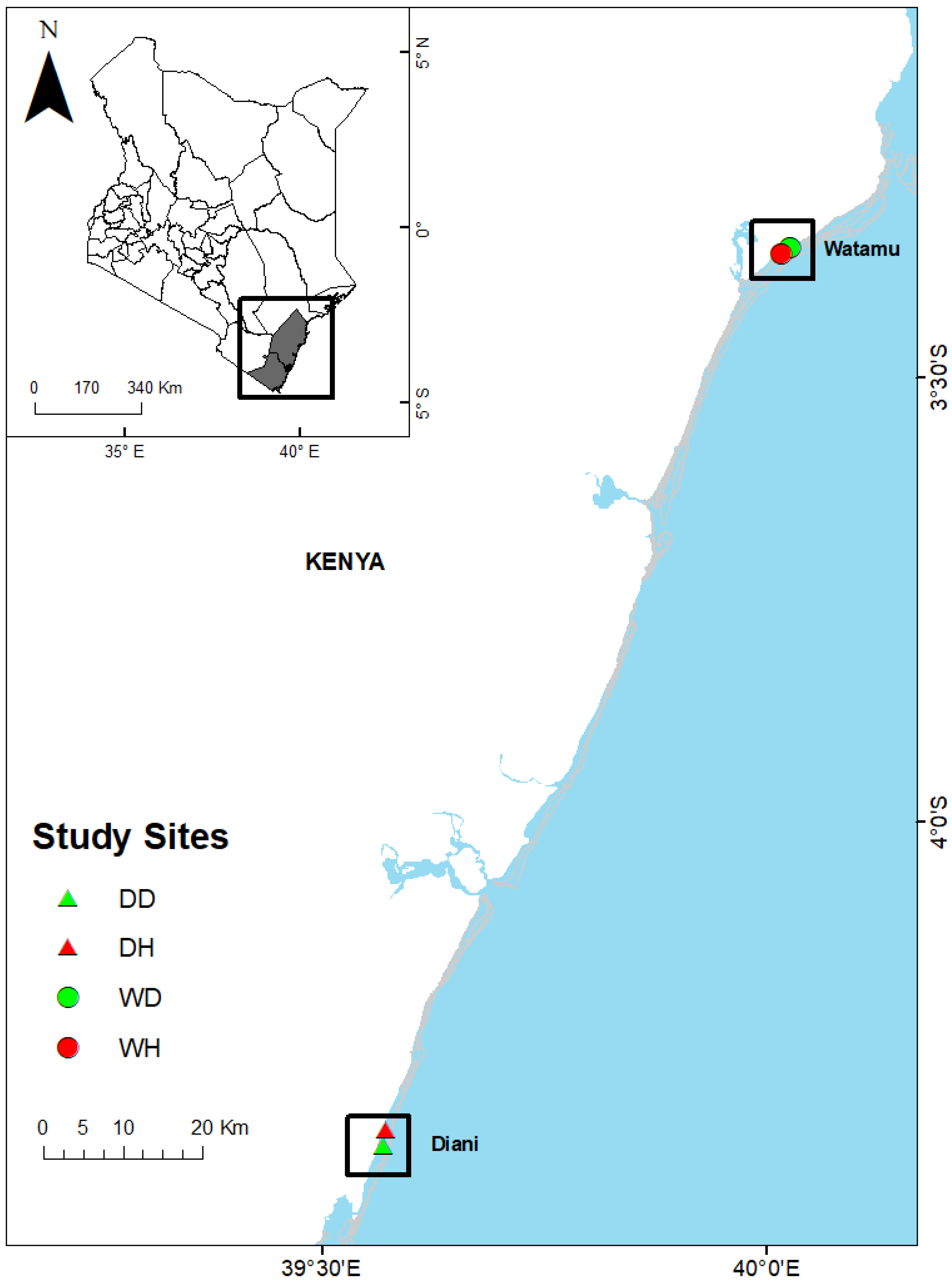 Diversity 14 00730 g001 550