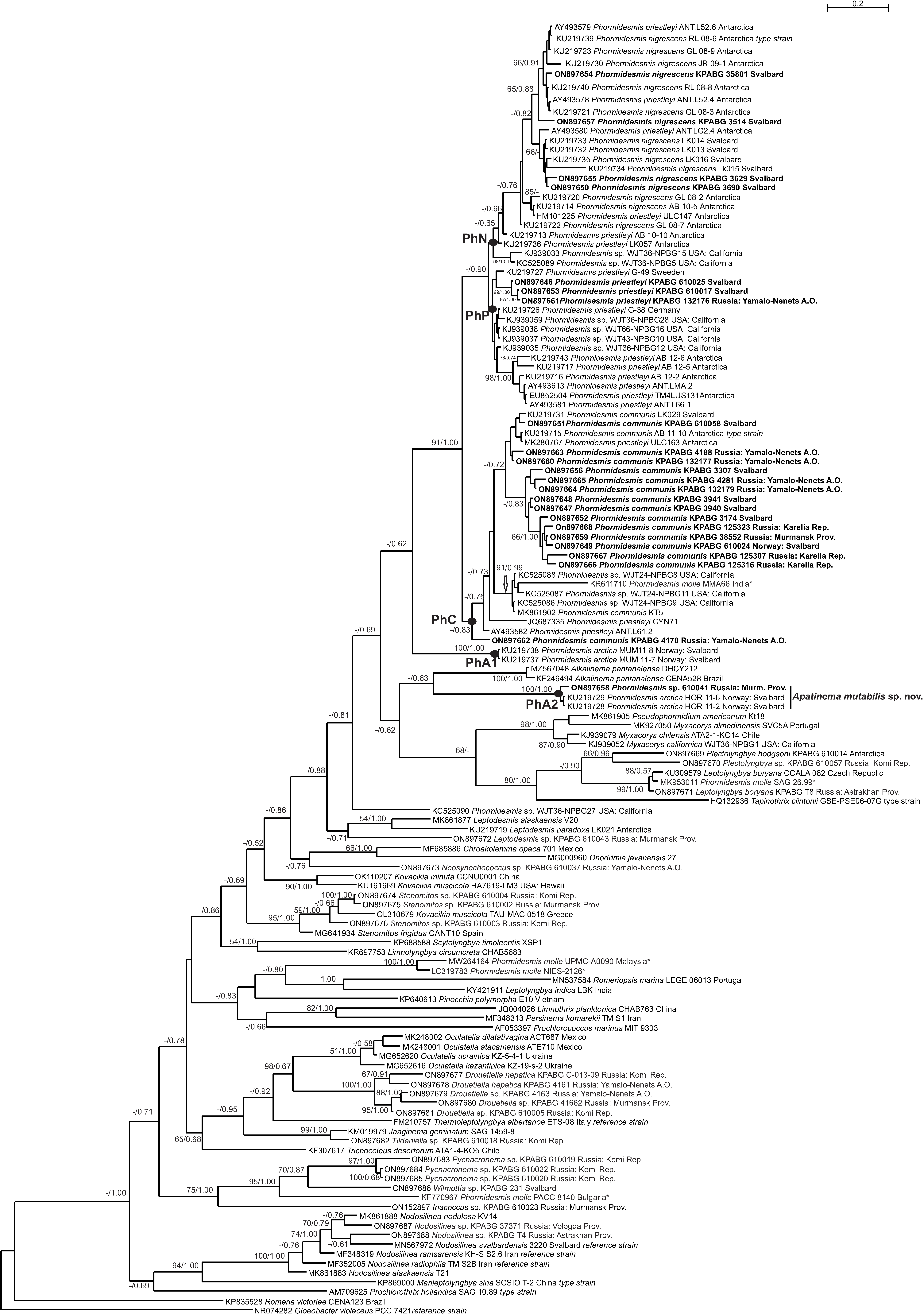 Diversity 14 00731 g002 550
