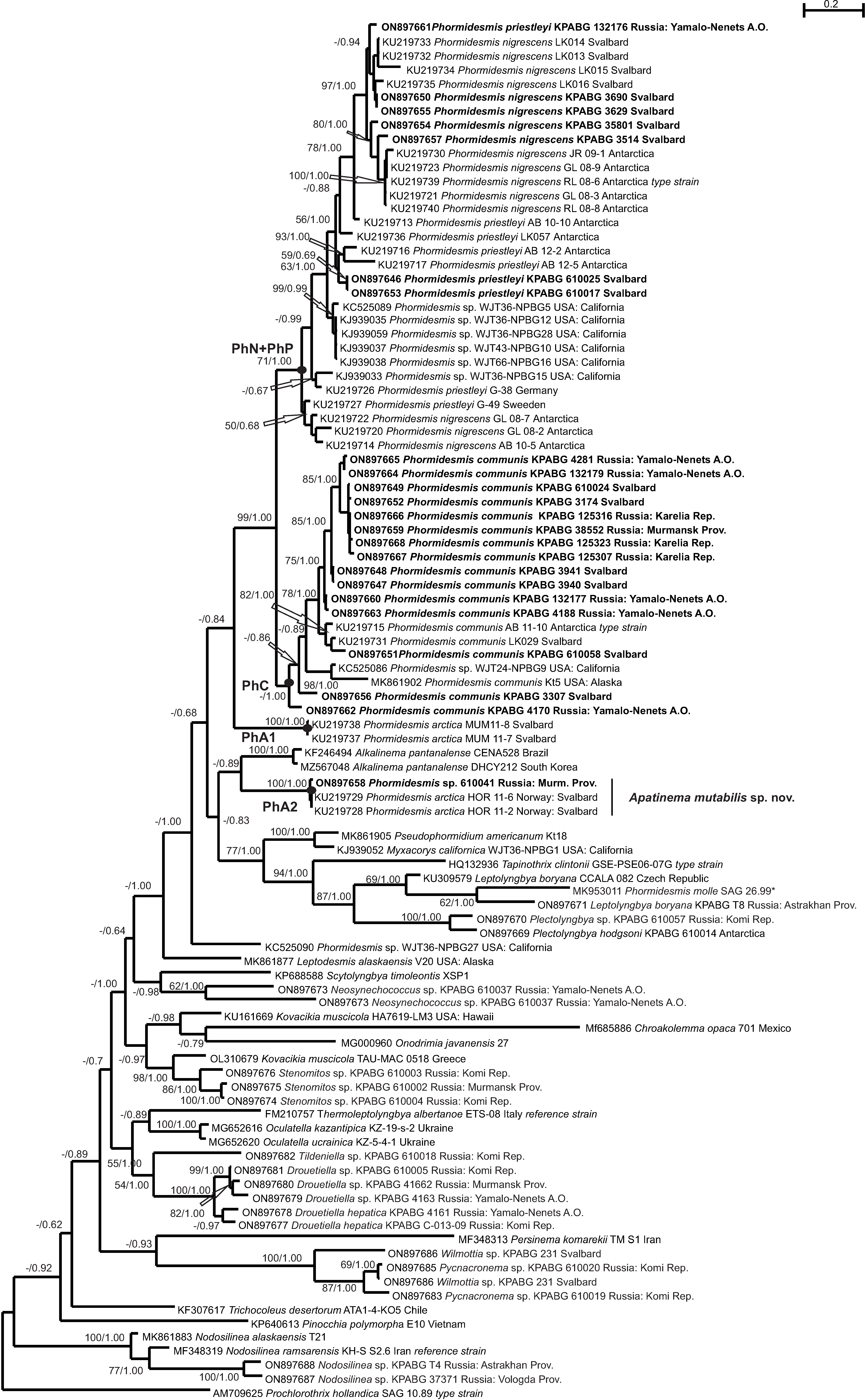 Diversity 14 00731 g003 550