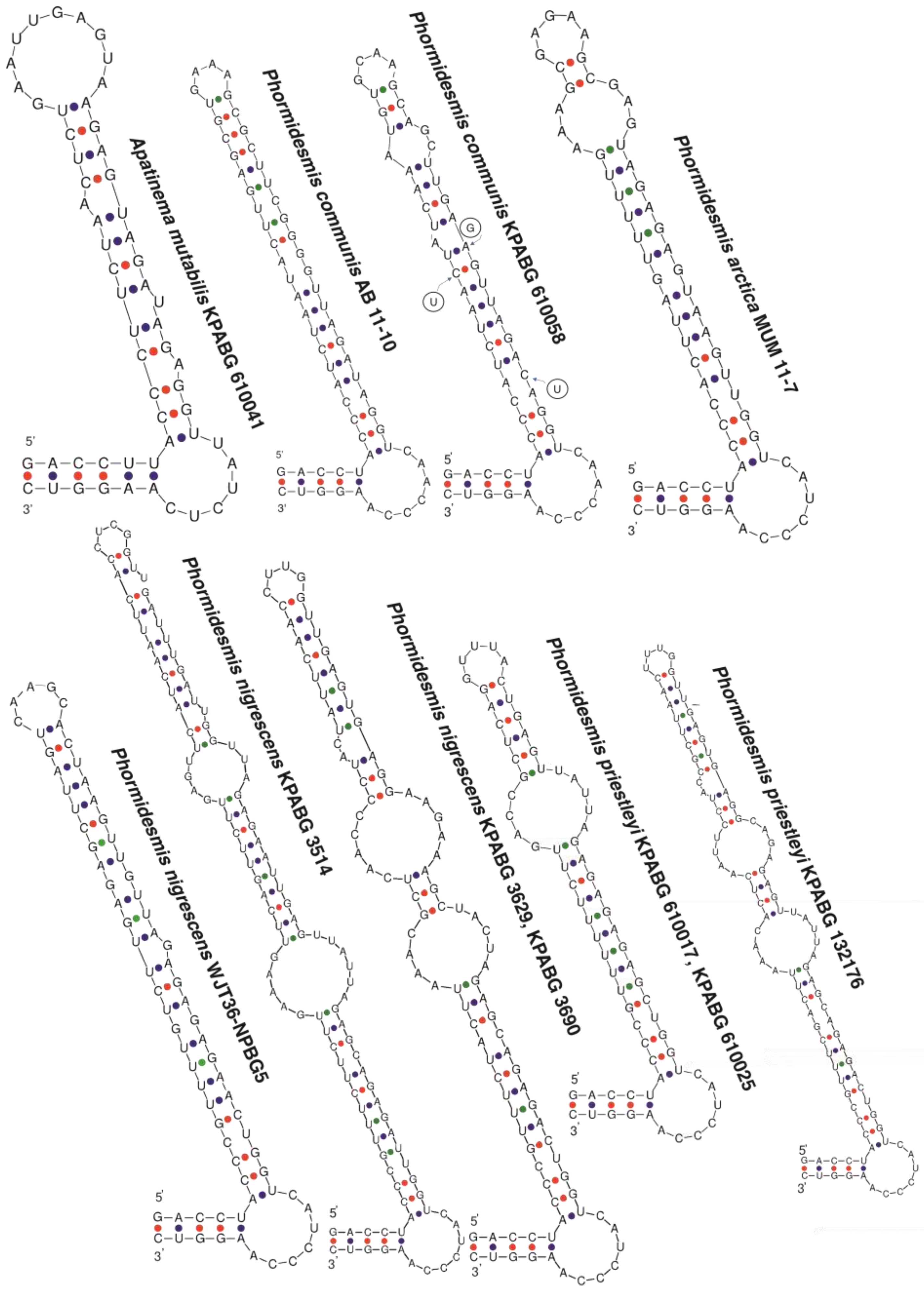 Diversity 14 00731 g004 550