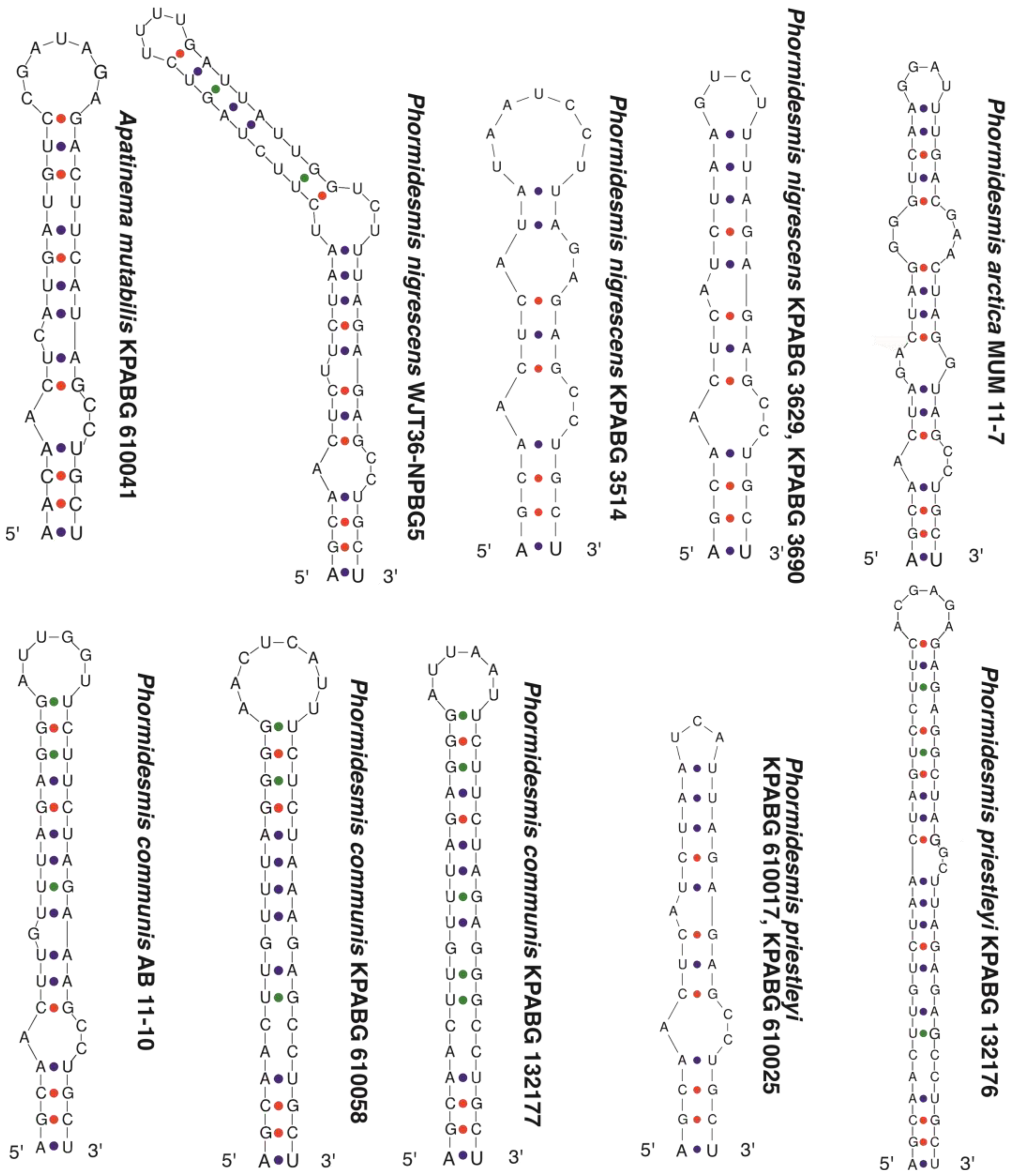 Diversity 14 00731 g005 550