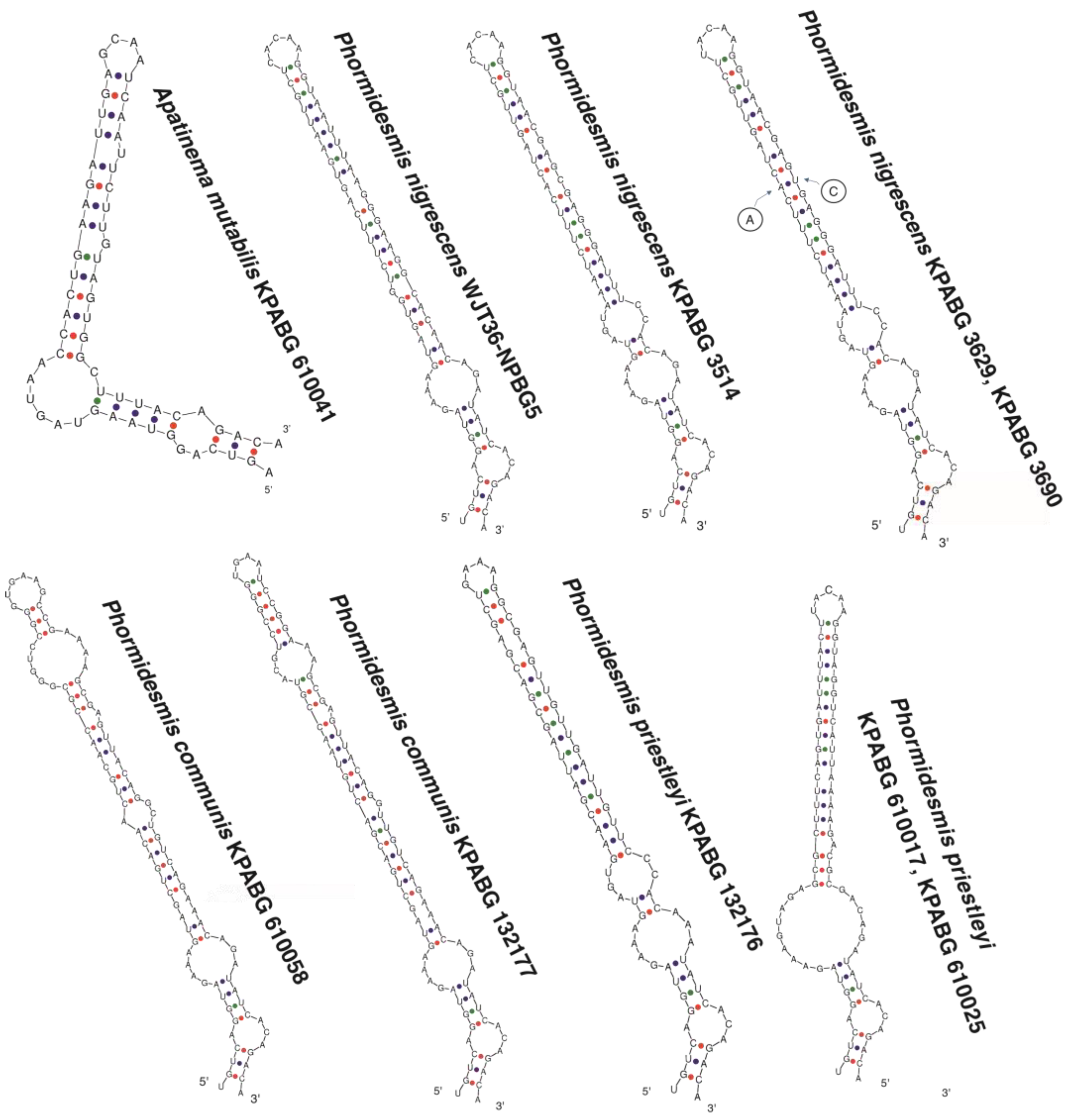 Diversity 14 00731 g006 550