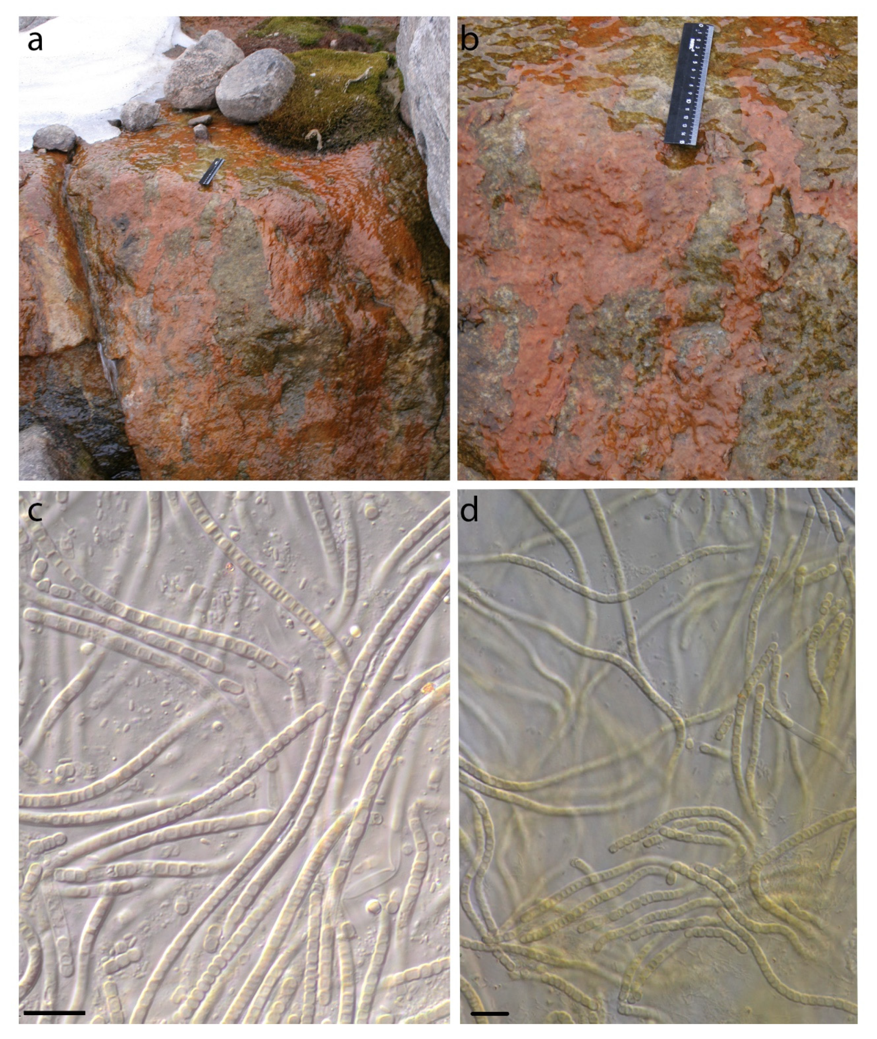 Diversity 14 00731 g008 550