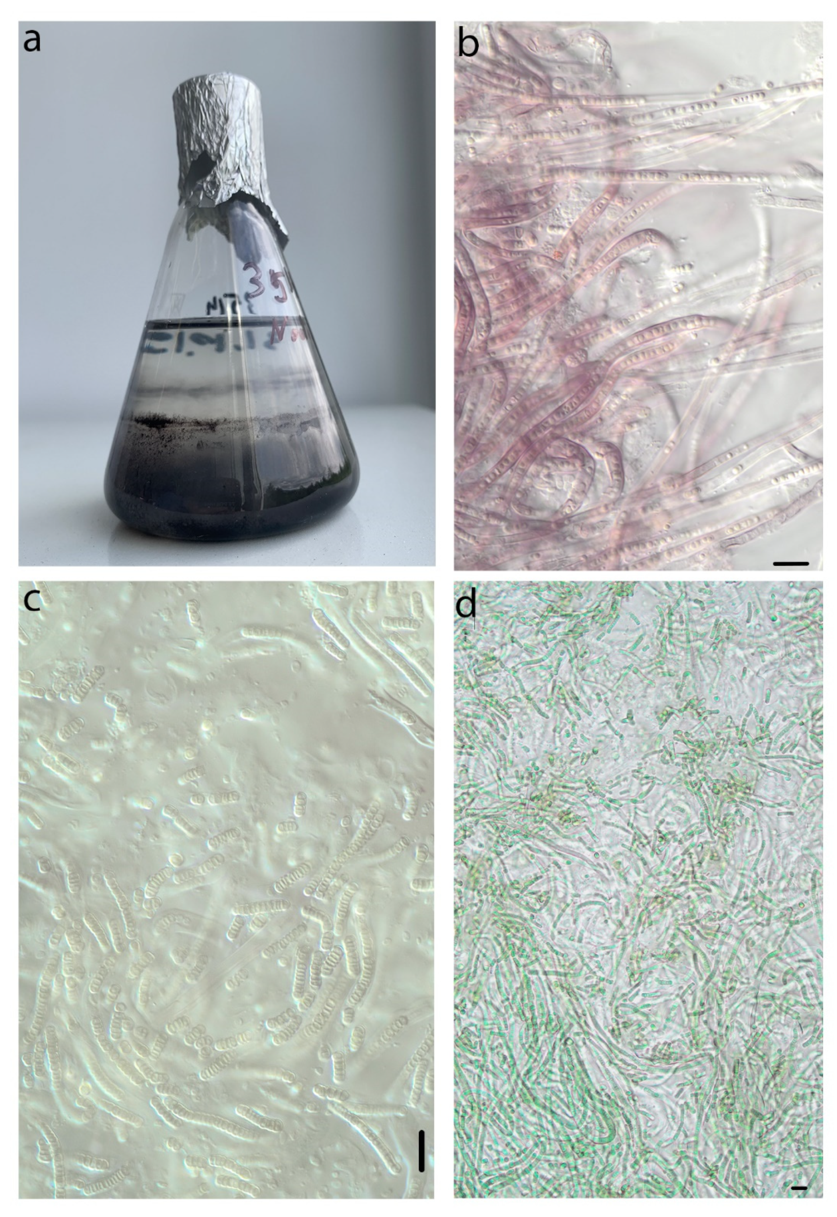 Diversity 14 00731 g009 550