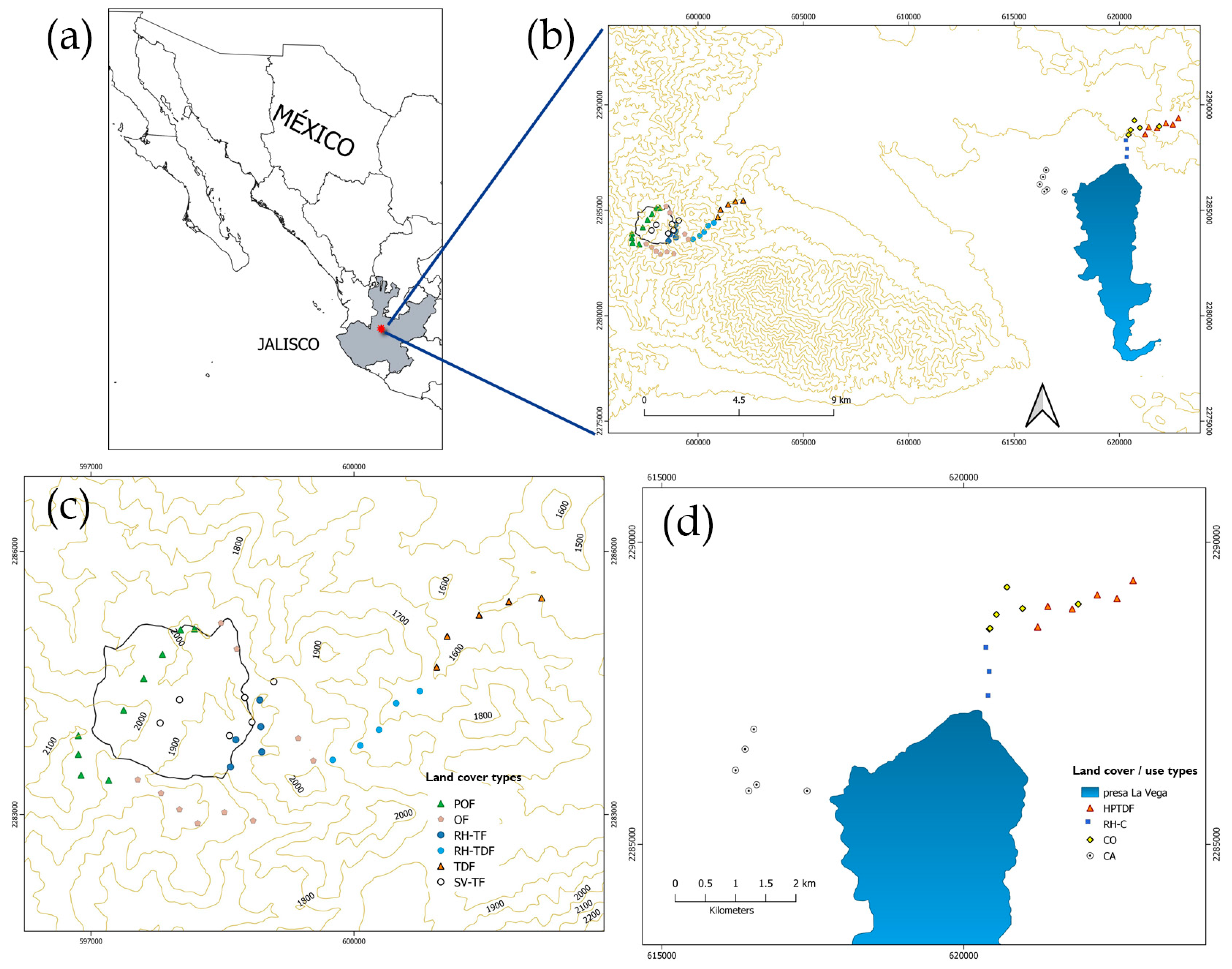 Diversity 14 00738 g001