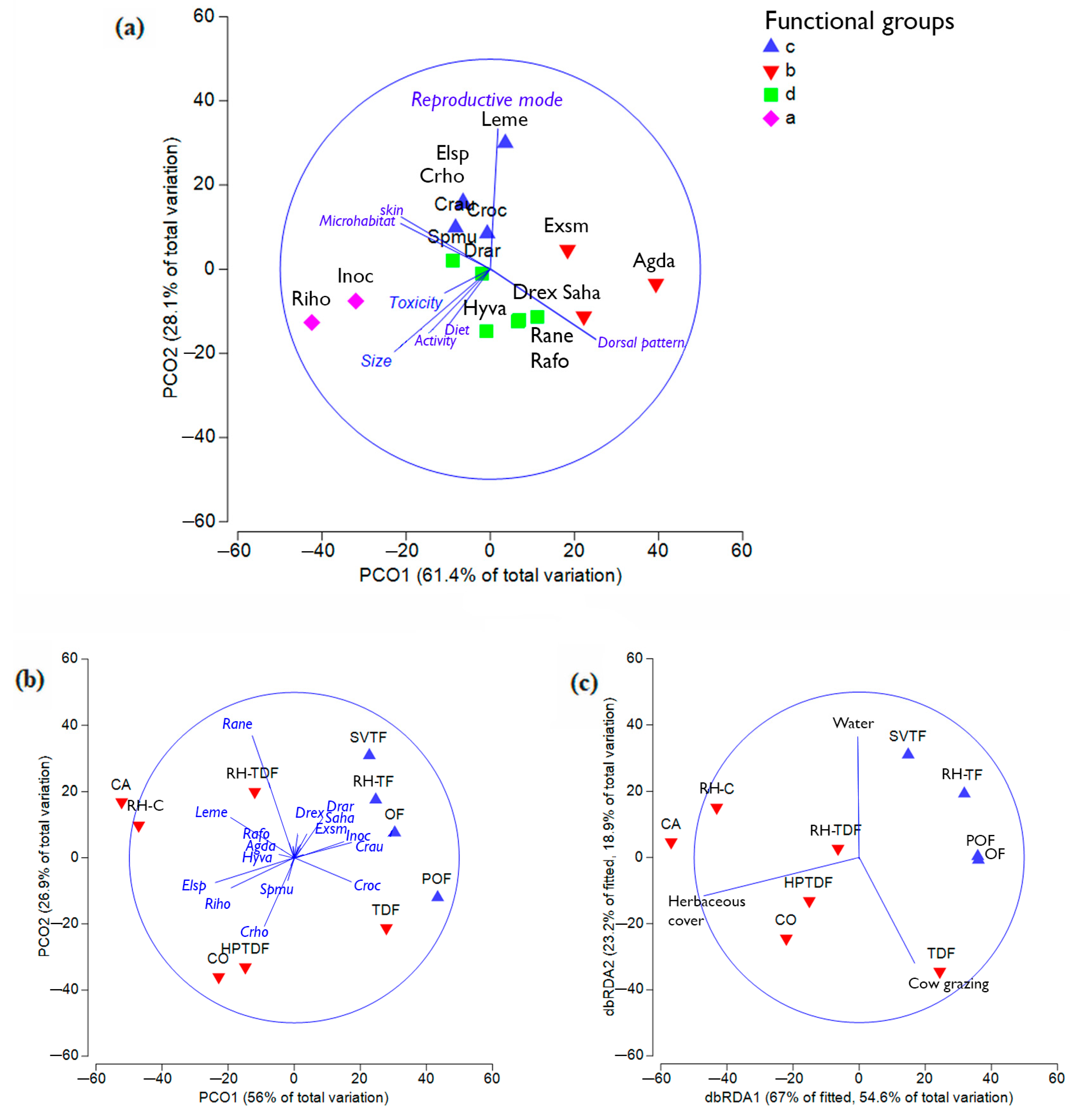 Diversity 14 00738 g003