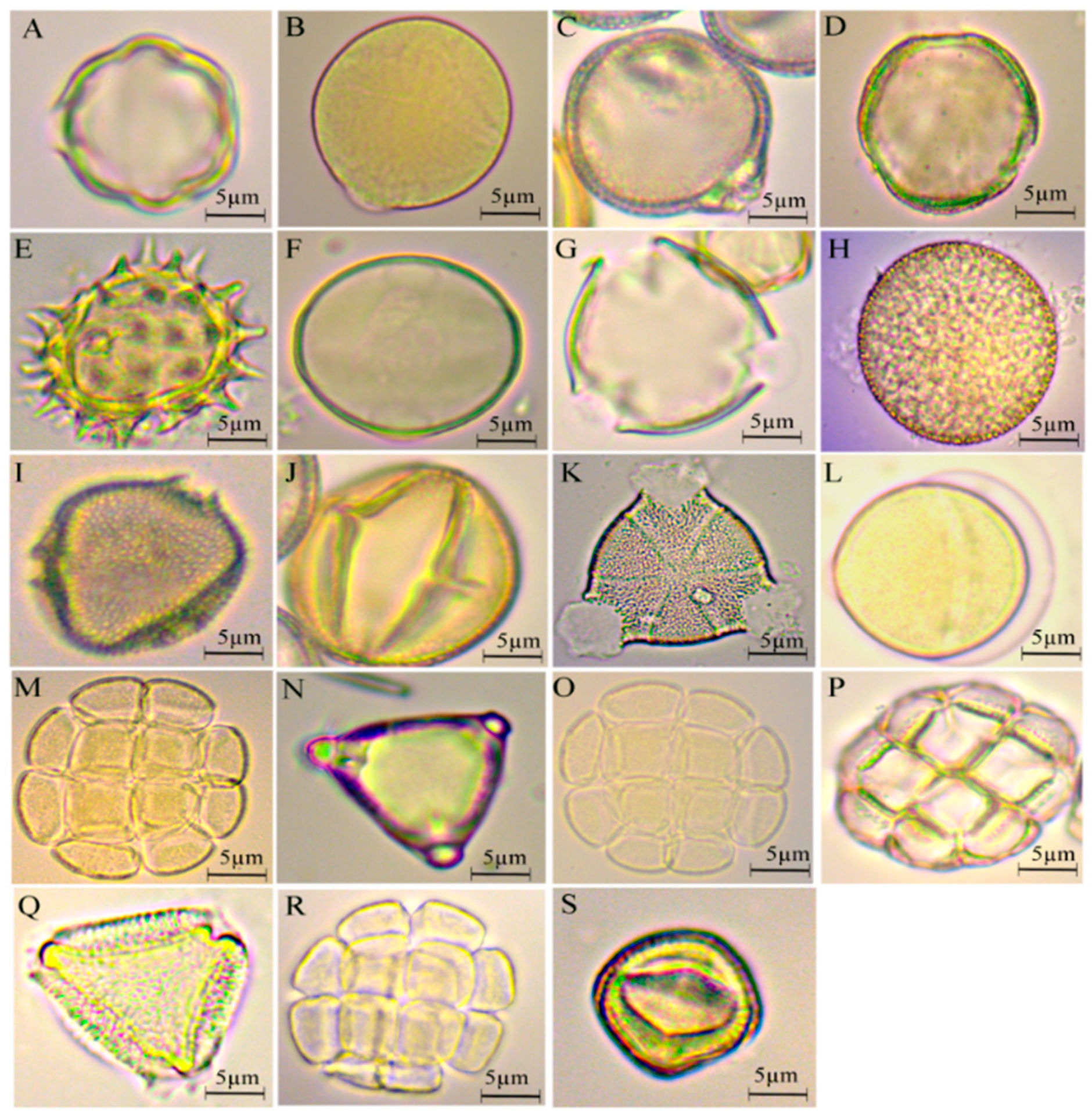 Diversity 14 00740 g002 550