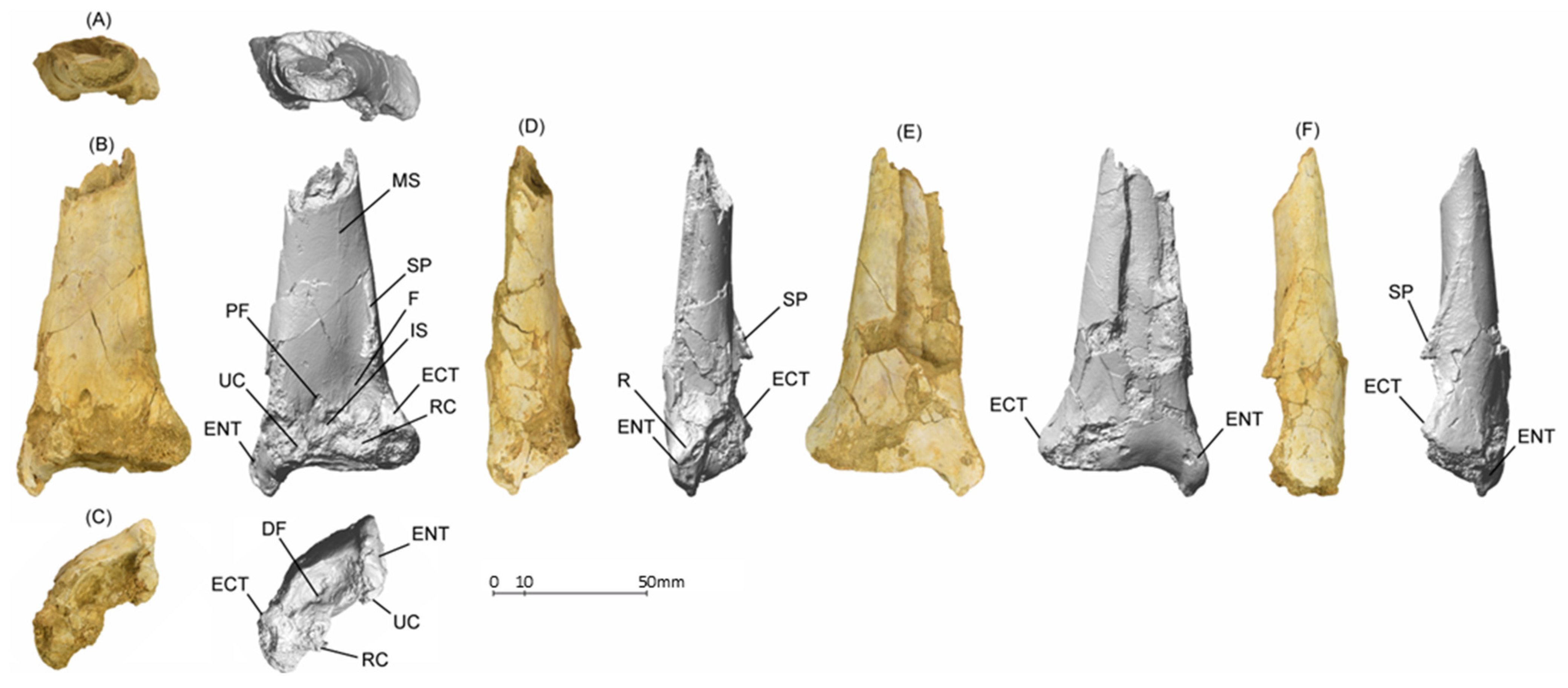 Diversity 14 00741 g003 550