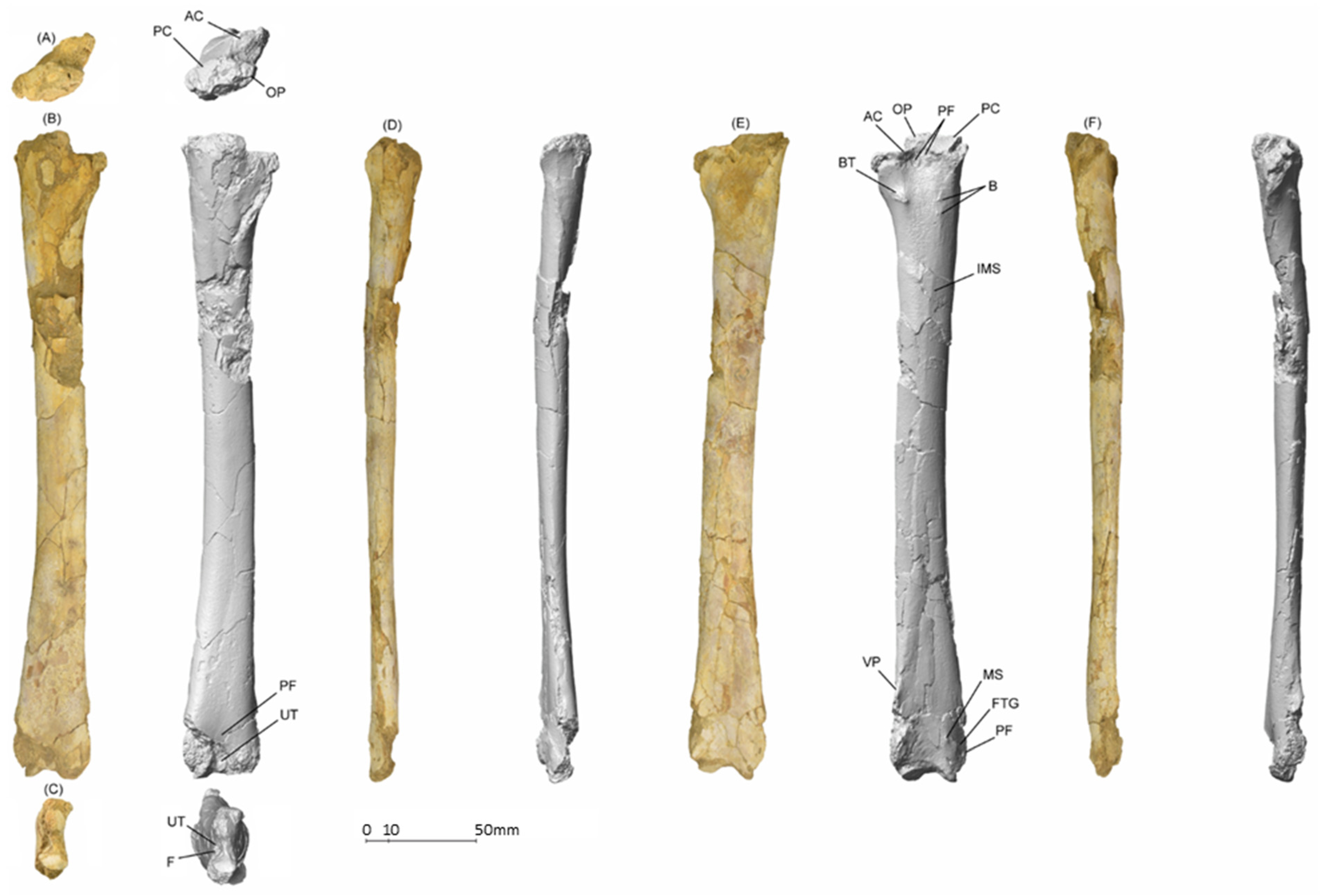 Diversity 14 00741 g004 550
