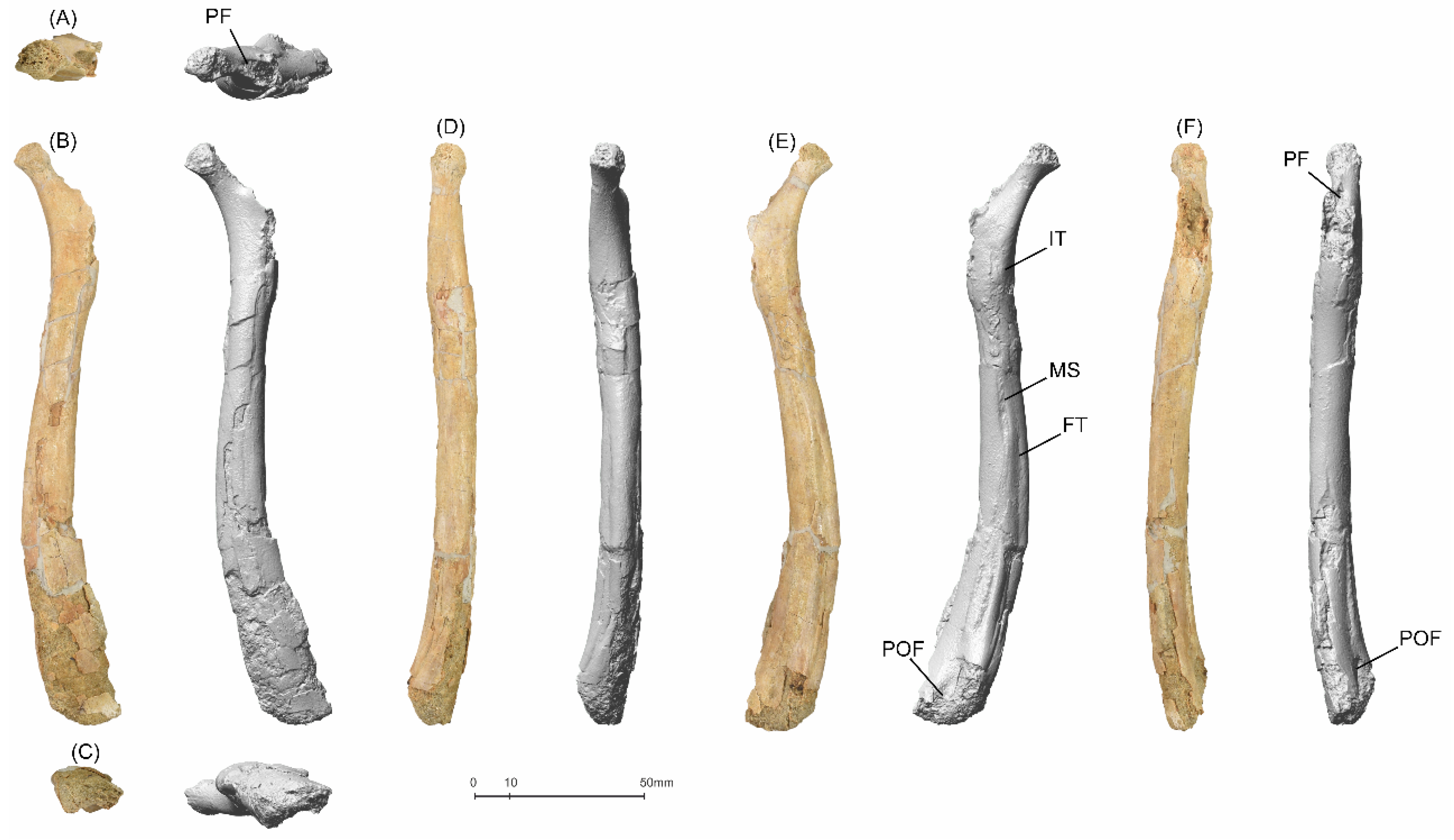 Diversity 14 00741 g006 550