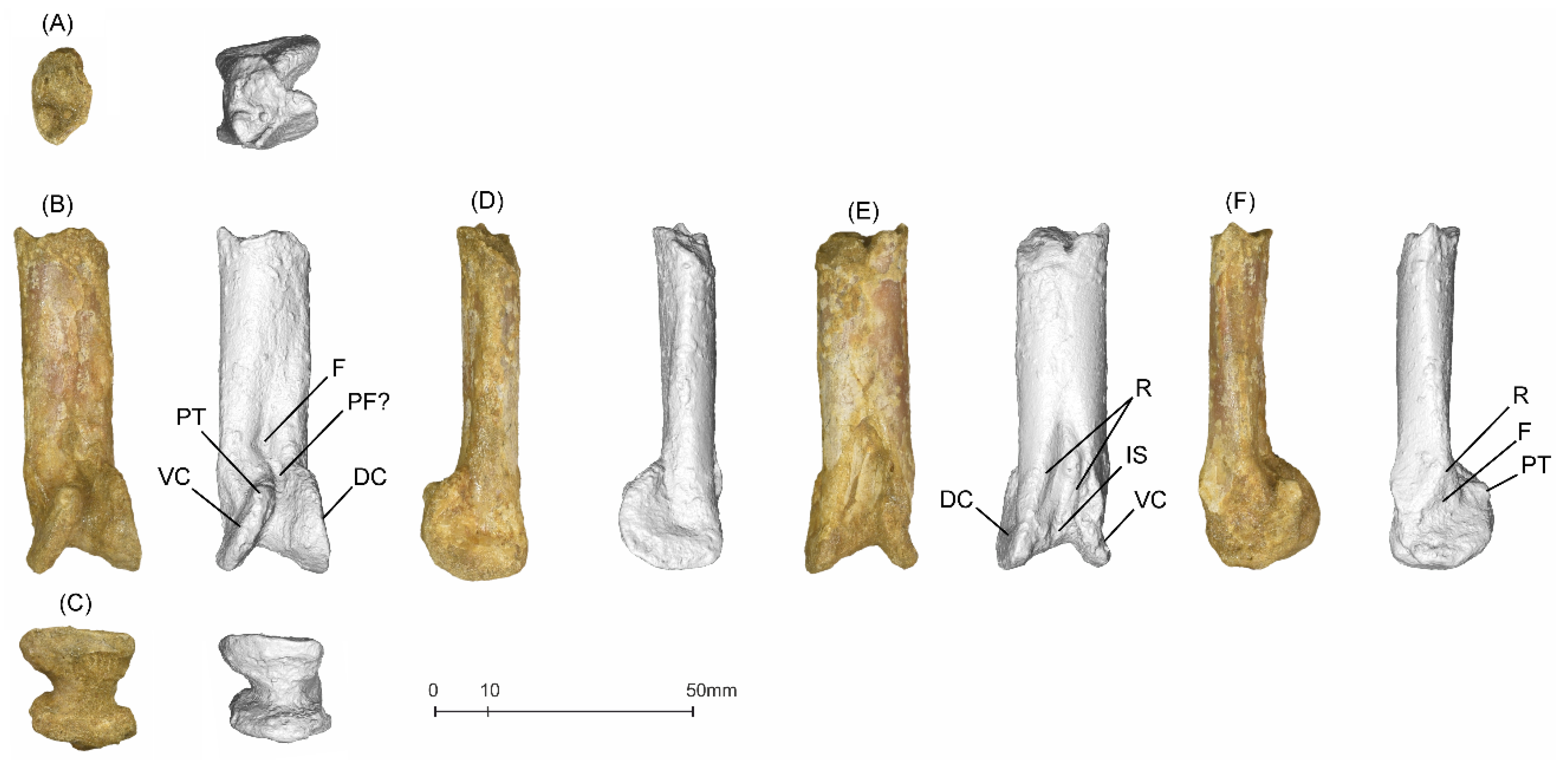 Diversity 14 00741 g007 550