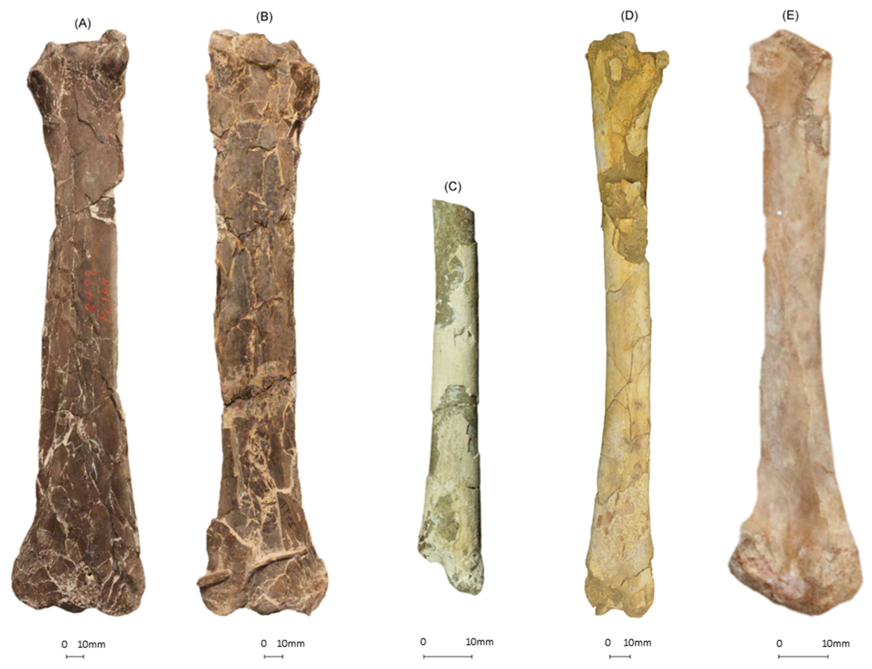 Diversity 14 00741 g013 550